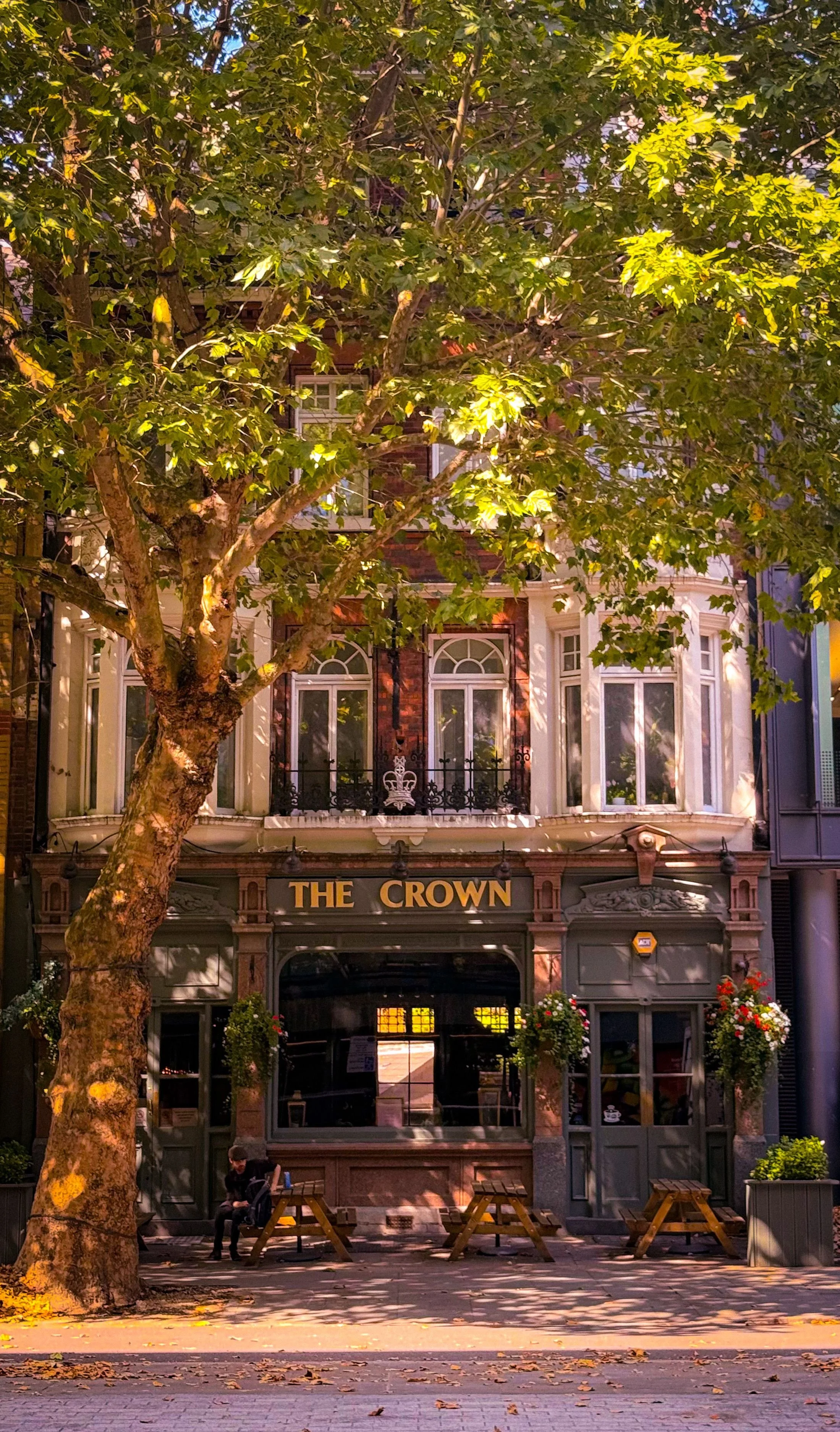 Traditional pub facade beneath a tree-lined balcony, London.