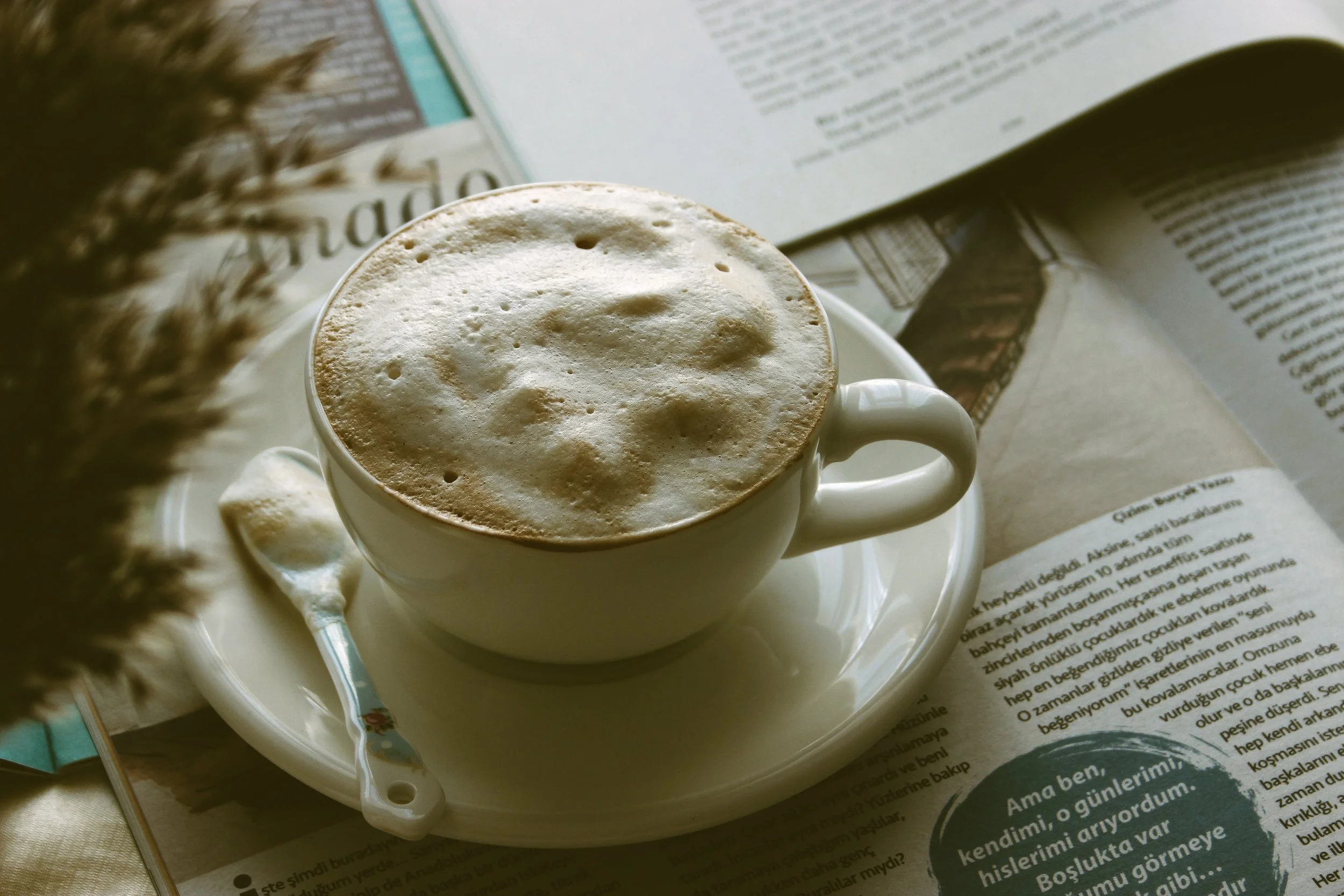 A cup of frothy melange in a café in Vienna.