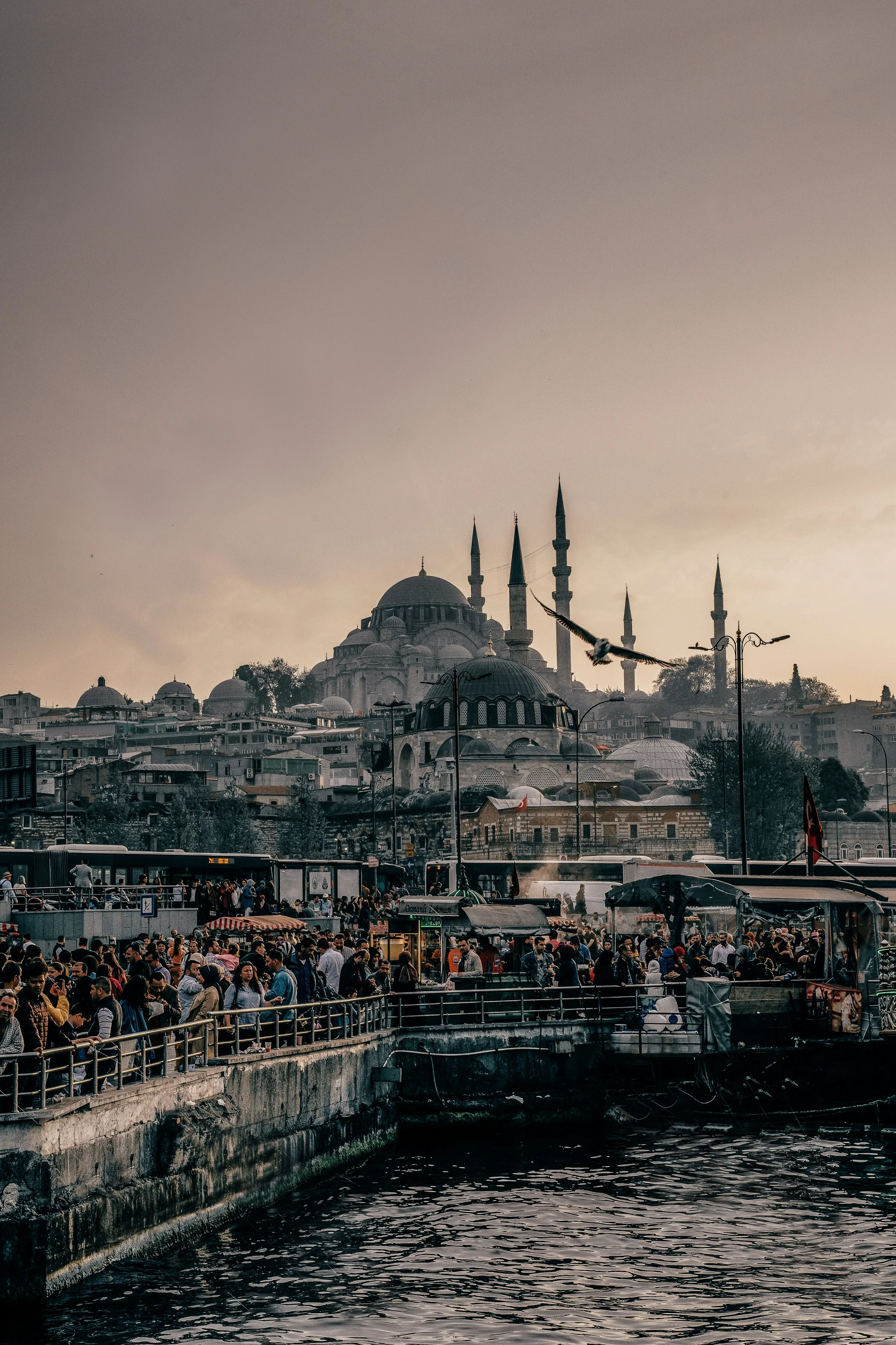 Süleymaniye Mosque with its domes and minarets rising above the rooftops and waterfront at dusk, Istanbul.