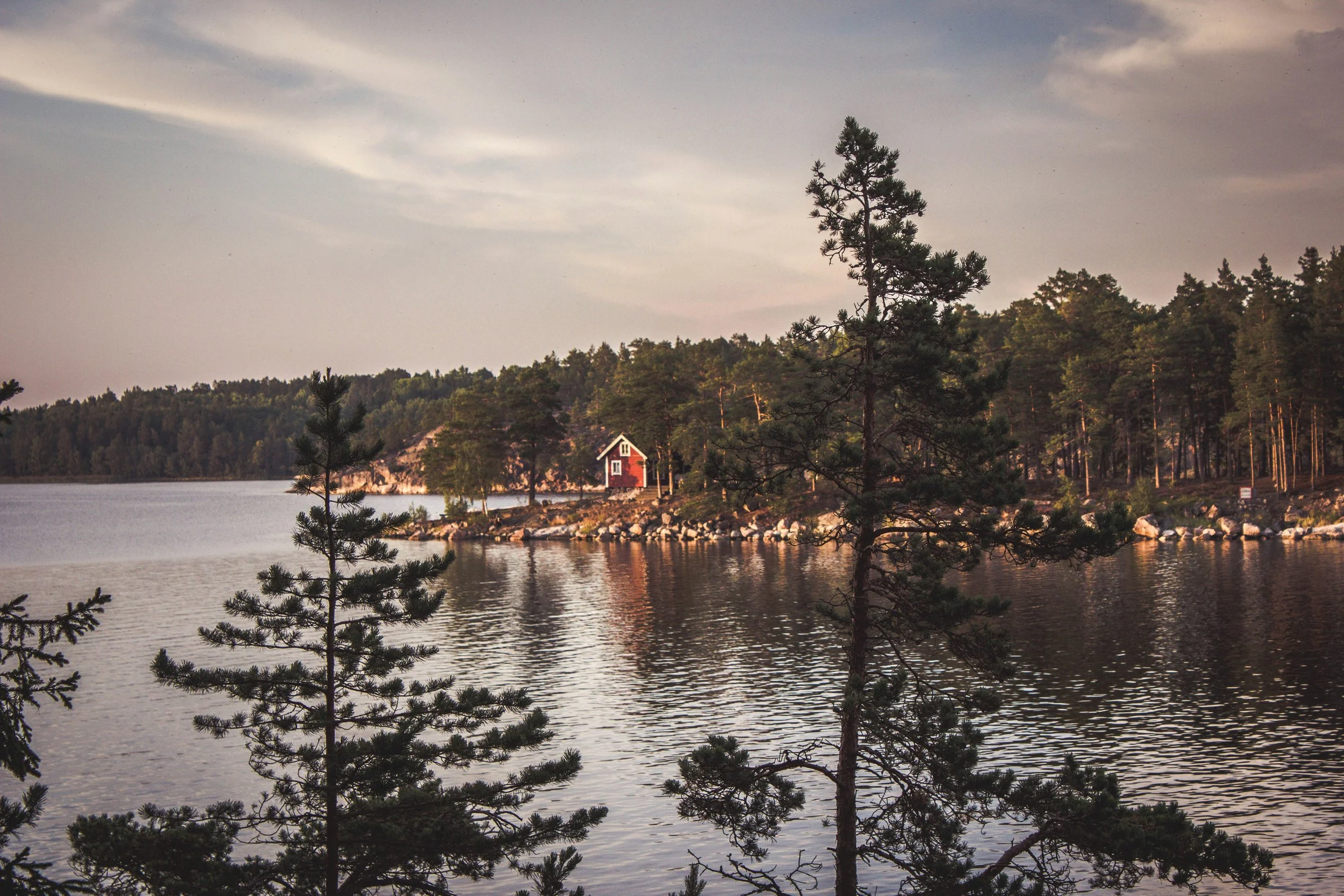 Soft evening light over still water and a pine-covered shore in the Stockholm archipelago