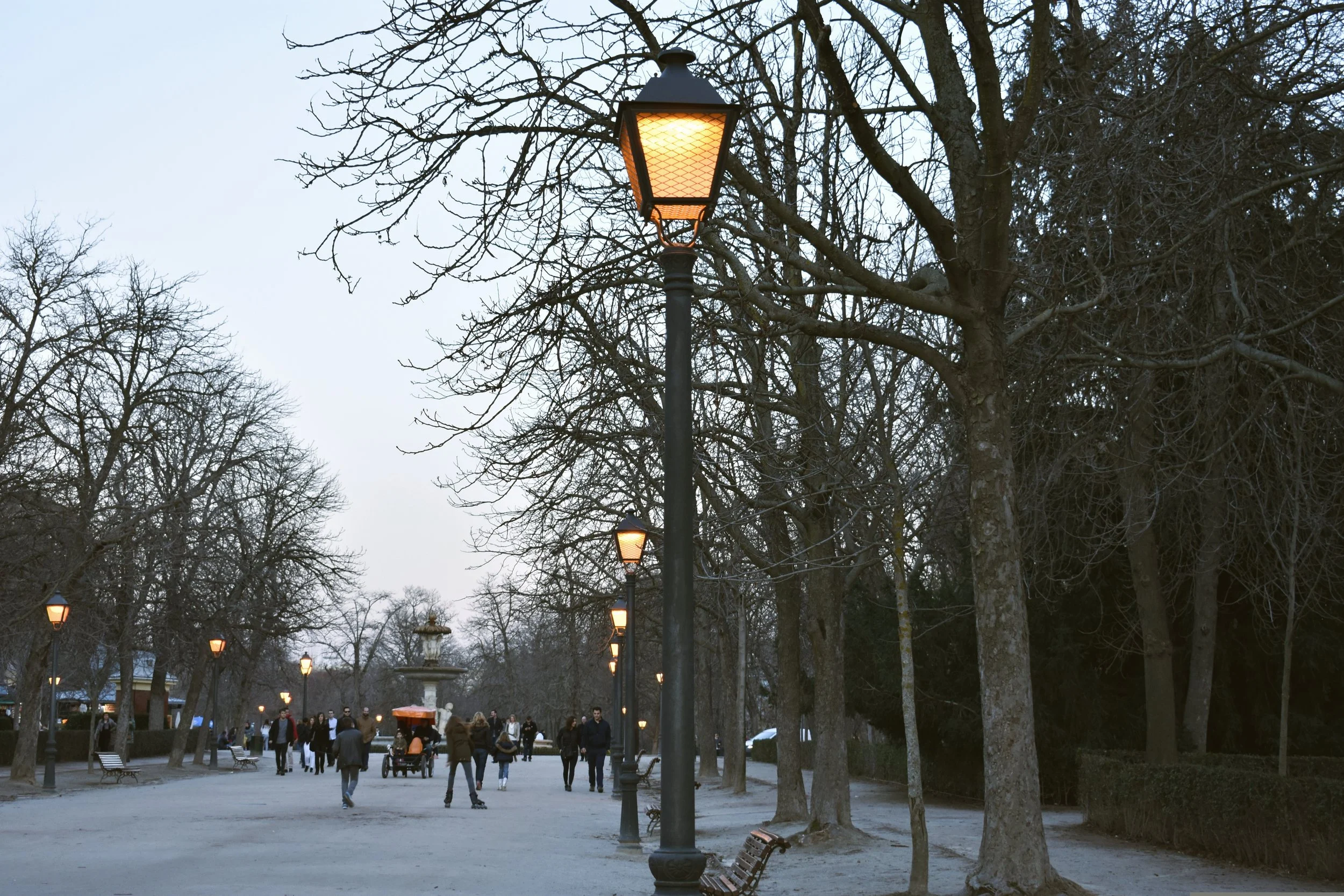 Lit lamp posts along a tree-lined path with people walking at dusk in Retiro Park, Madrid