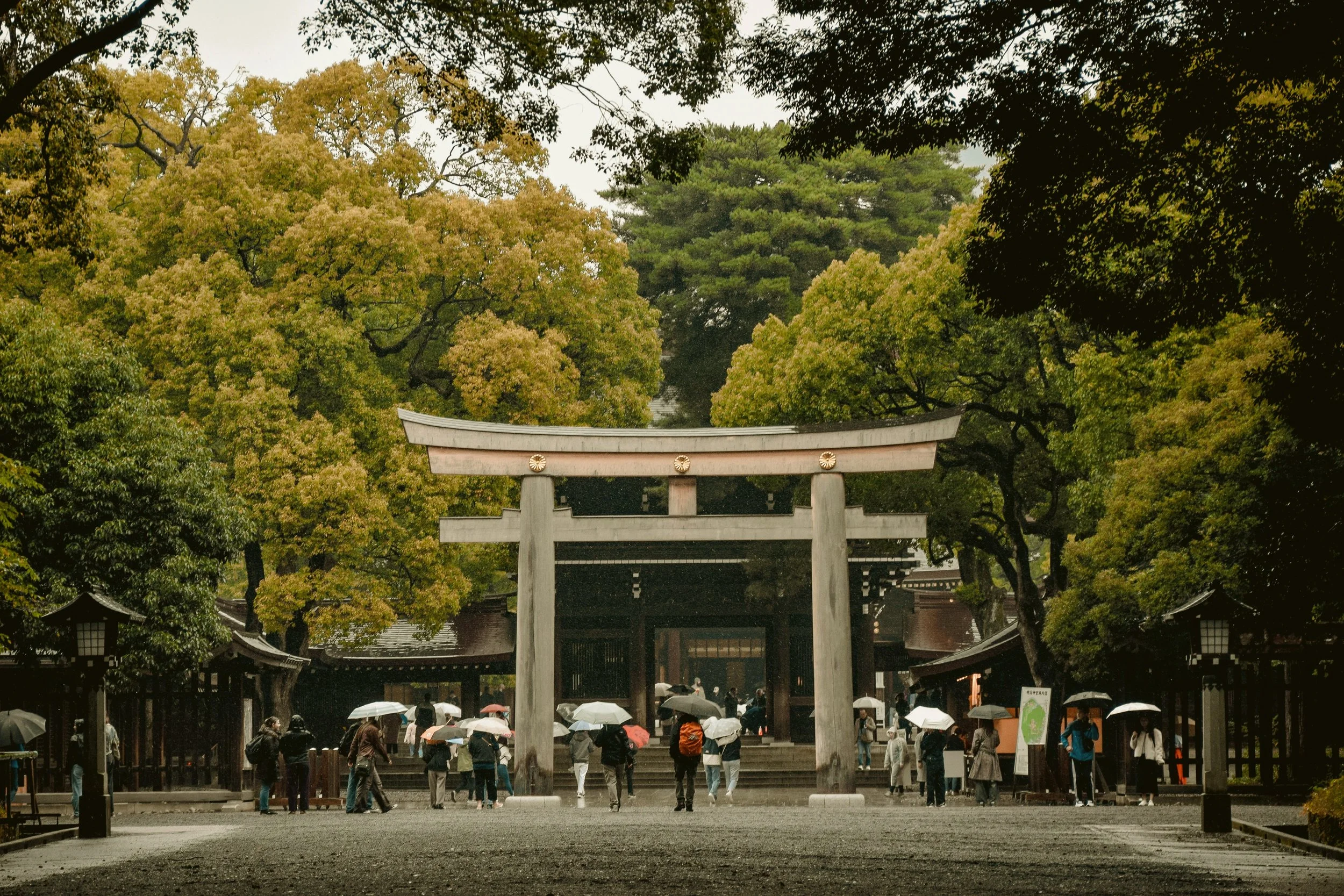 Wooden torii gate surrounded by trees with visitors holding umbrellas, Meiji Jingu, Tokyo