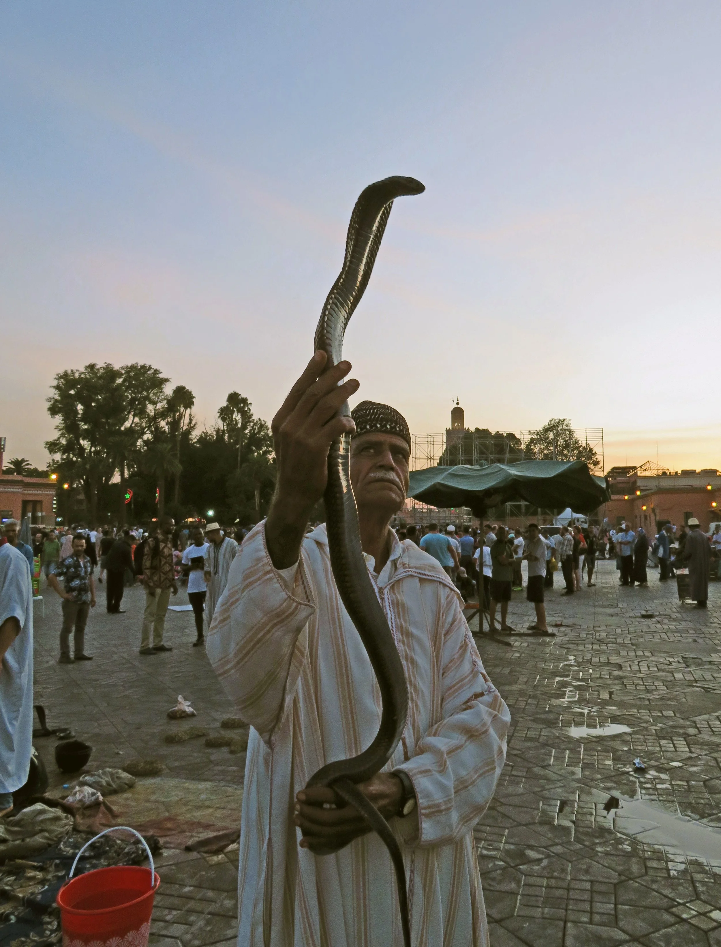 Man in a white djellaba raising his arm in a busy square at dusk, Jemaa el-Fnaa, Marrakech.