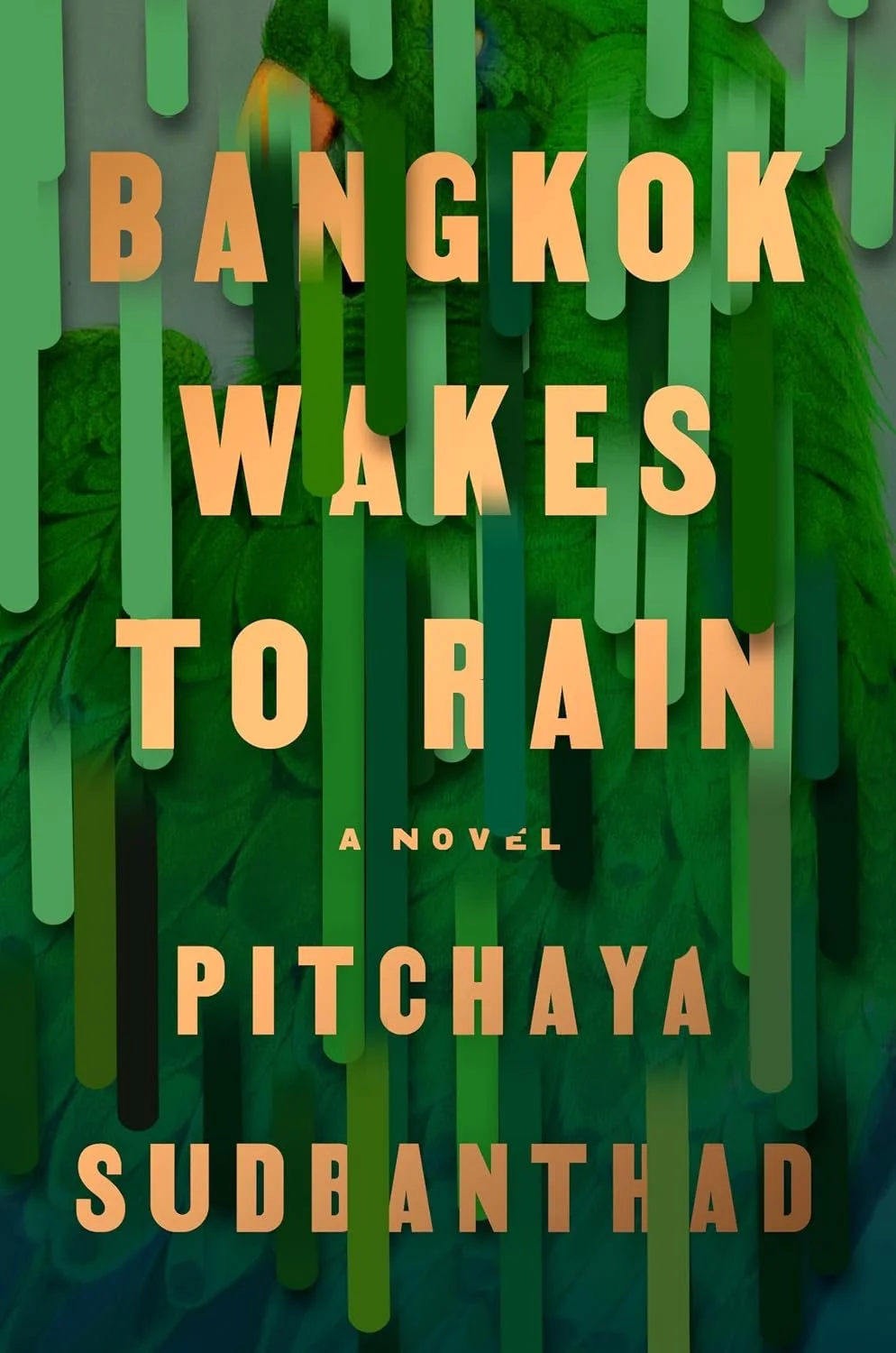 Book cover for 'Bangkok Wakes to Rain' by Pitchaya Sudbanthad.