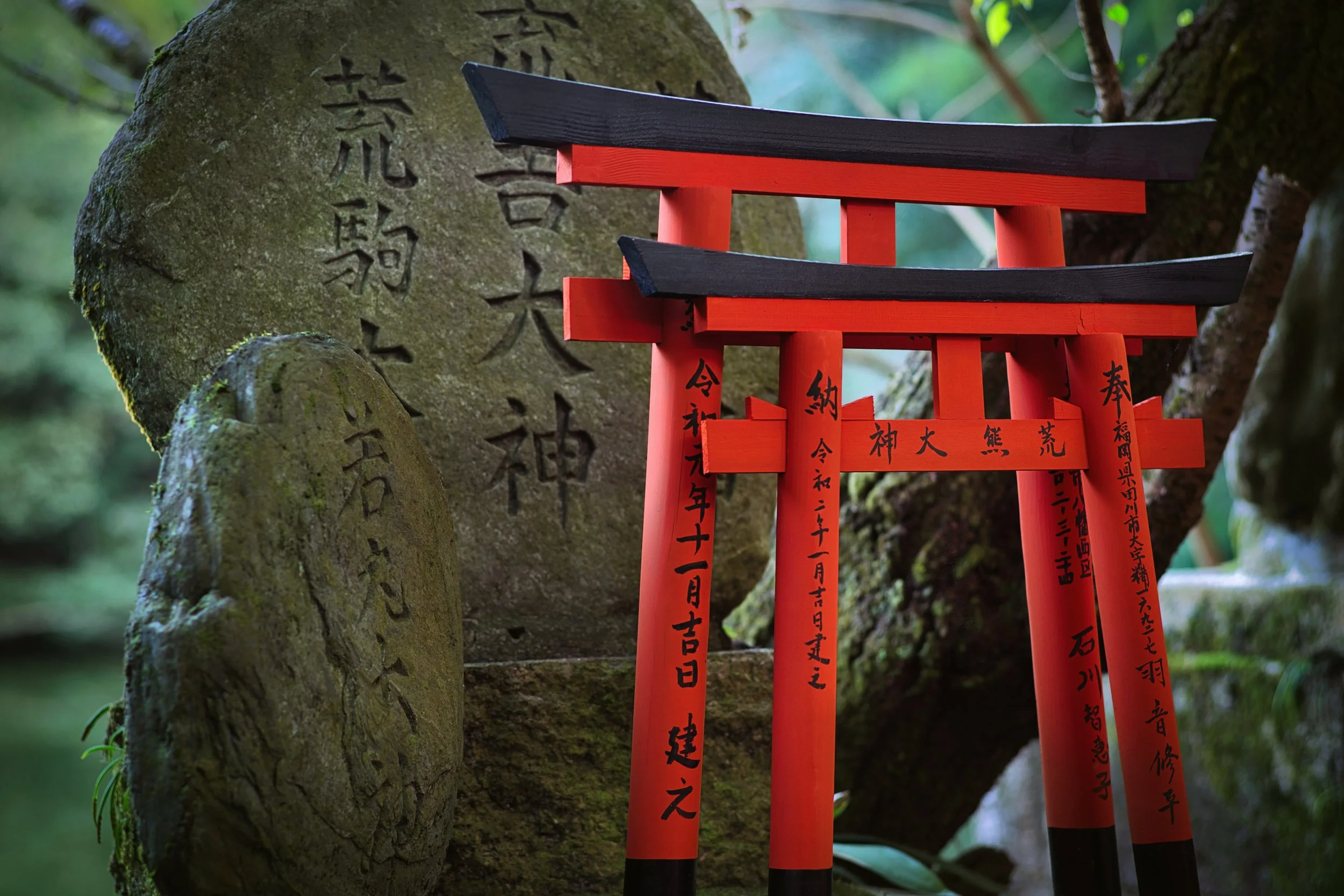 Small red torii gates with black calligraphy in front of moss-covered stone monuments, Tokyo