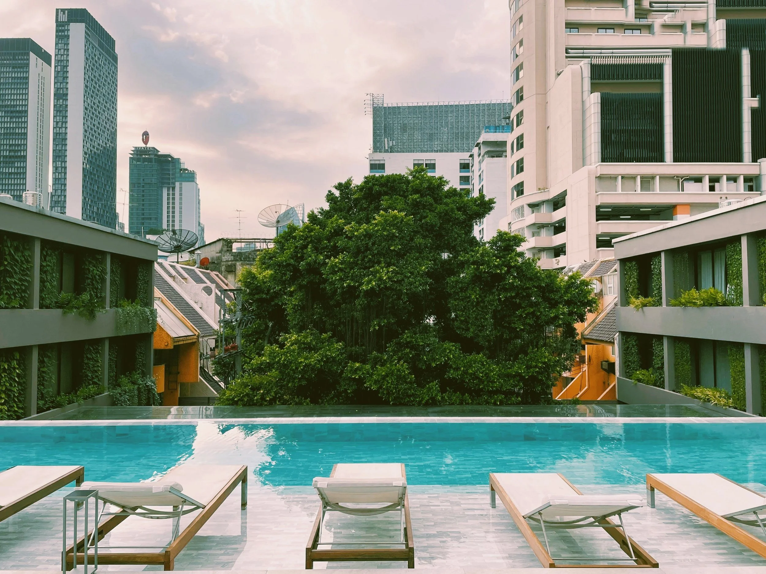 Ad Lib Bangkok rooftop pool with loungers, a large banyan tree and city towers behind, Sukhumvit, Bangkok.