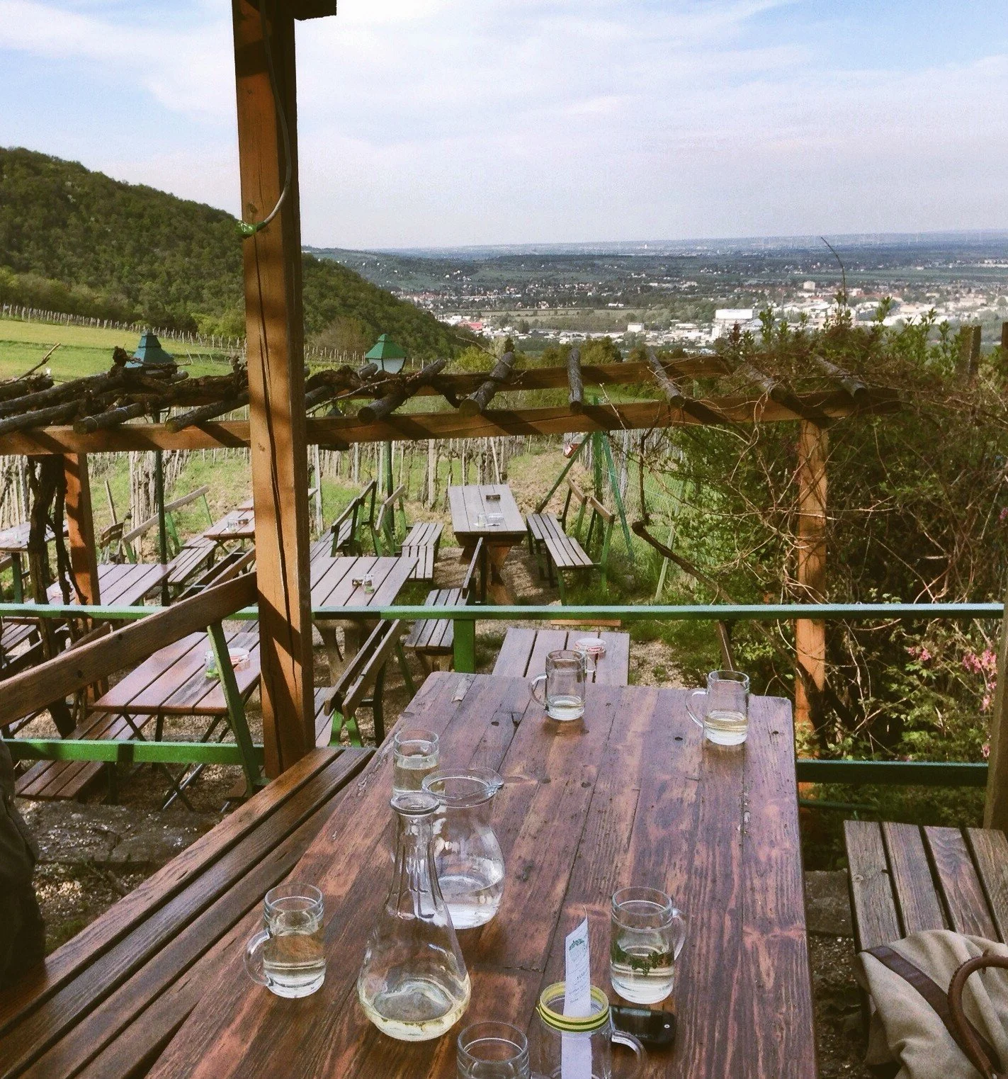 Heuriger on the outskirts of Vienna