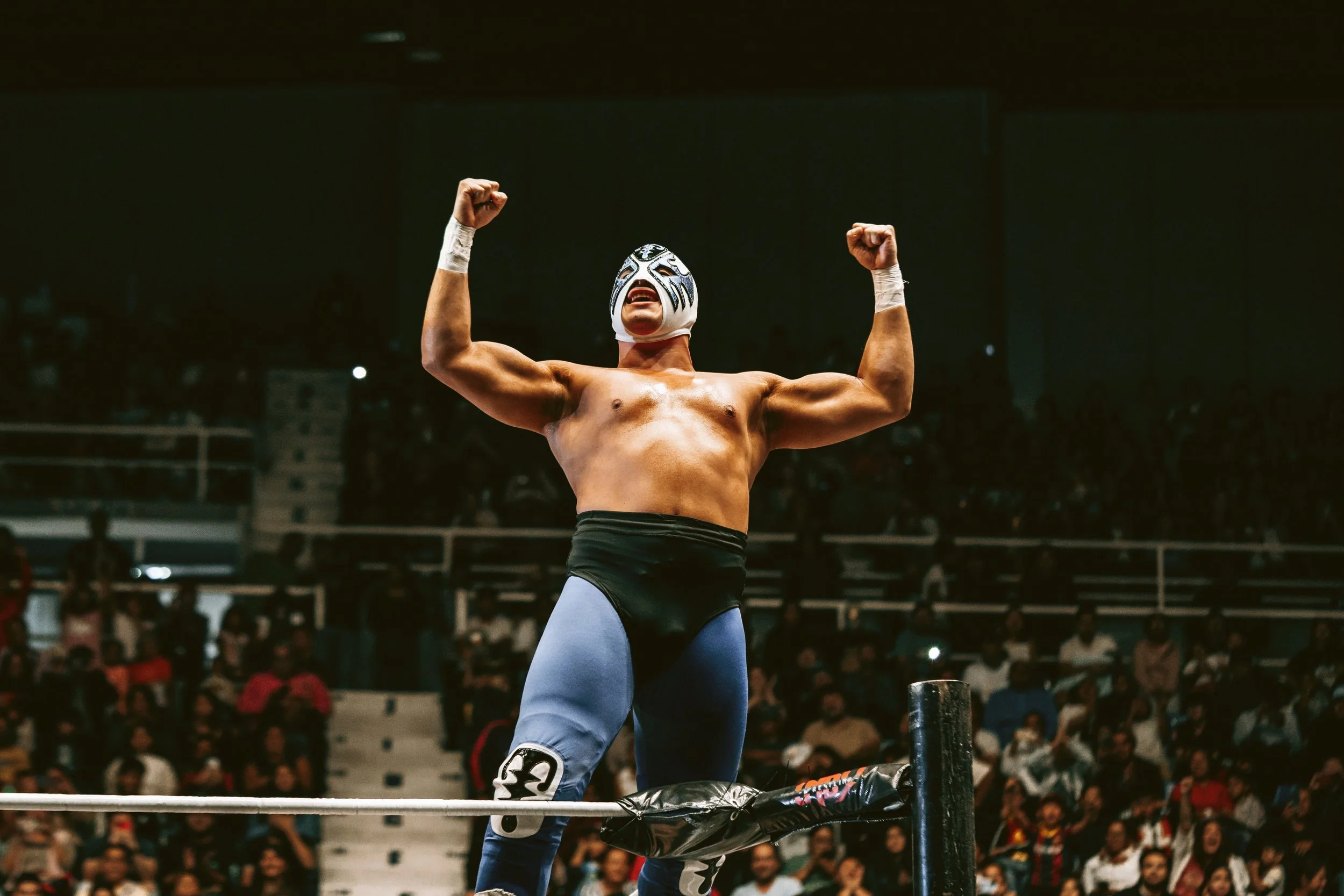 Masked lucha libre wrestler with raised fists standing on the ring ropes in front of the crowd, Mexico City.