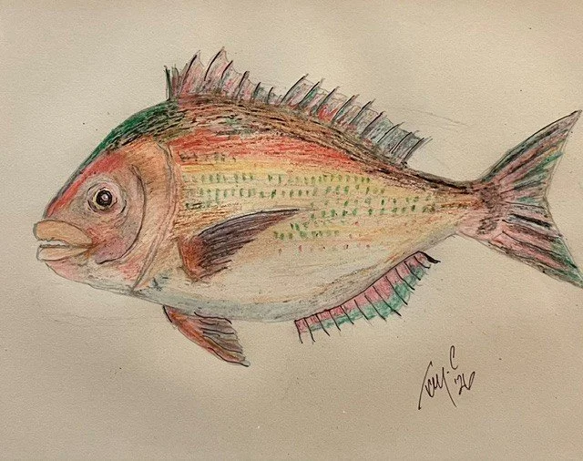Snapper.jpg