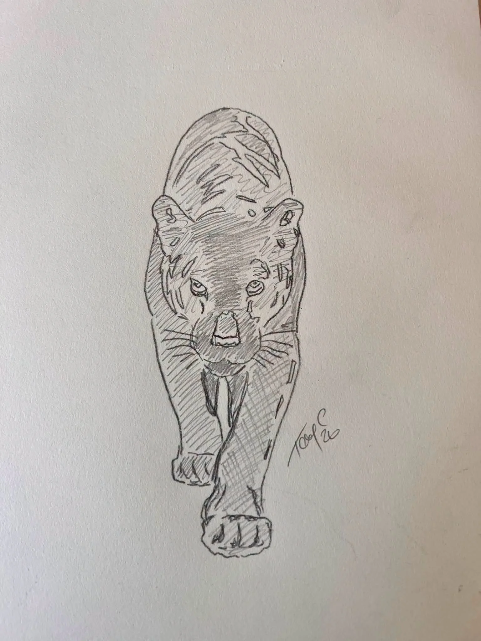 Project - Black Panther