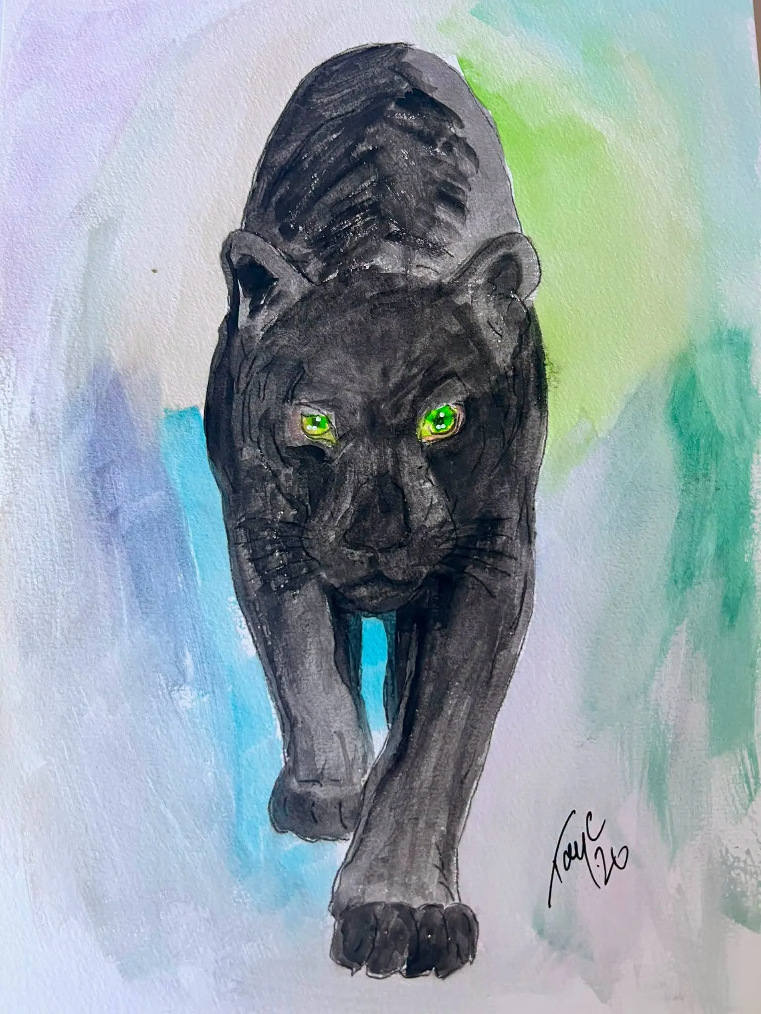 Black Cat