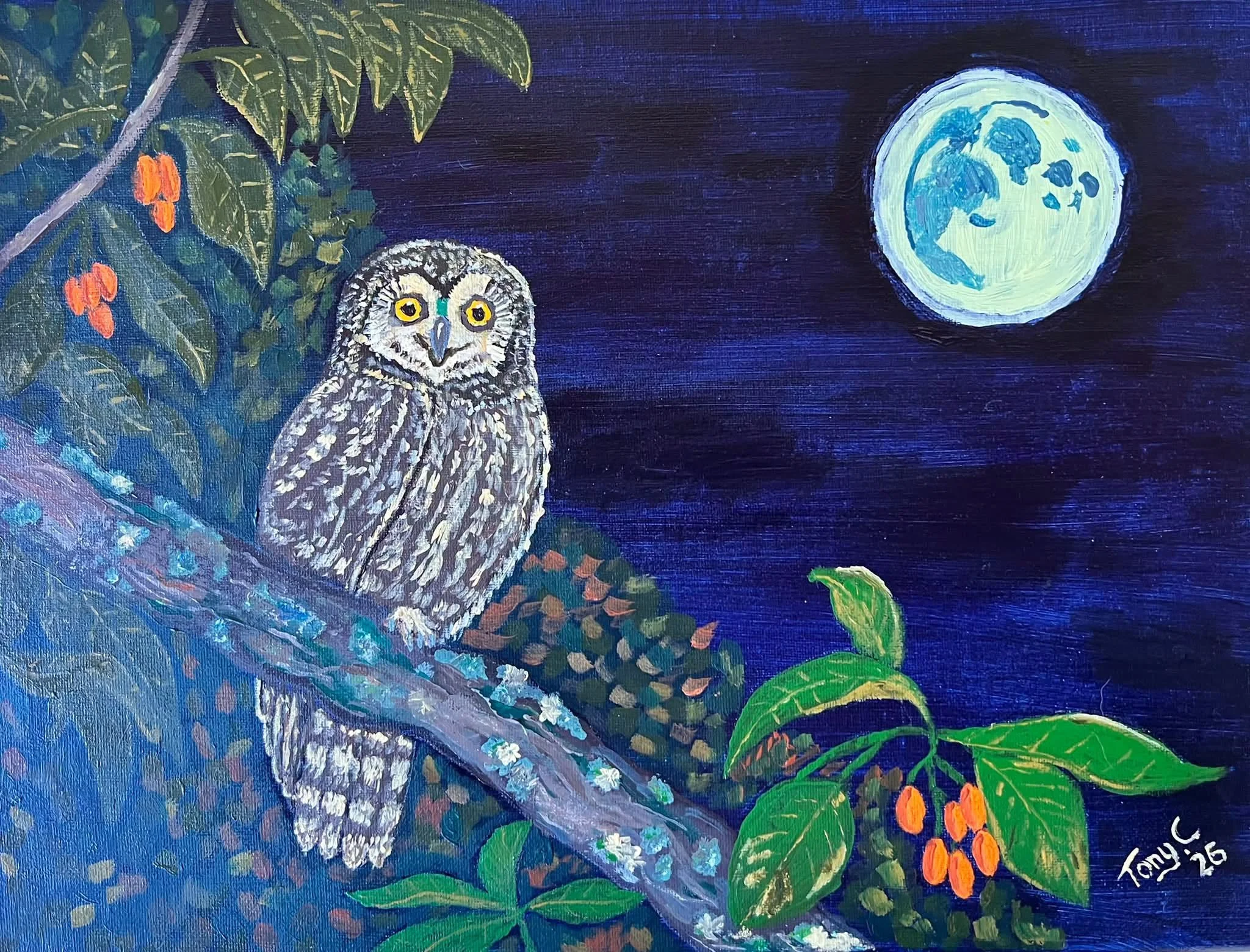 Our local Morepork