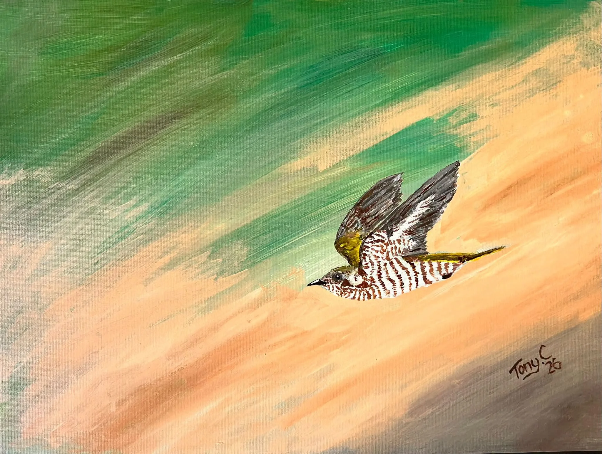 Freedom
