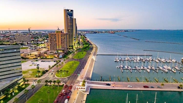 Aerial view of a city skyline next to a marina with multiple sailboats, a waterfront road, and green park area during sunset.
