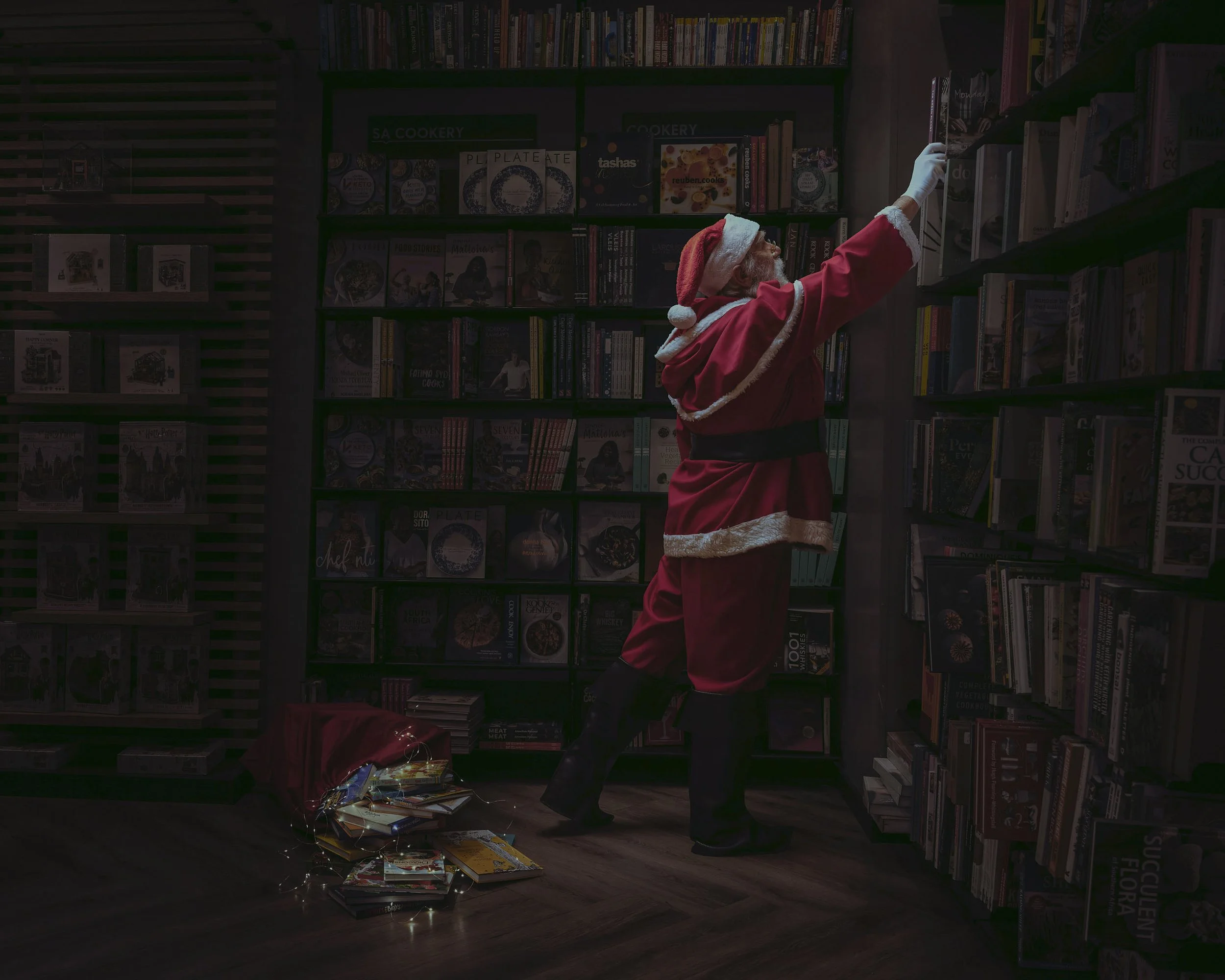 santa reaching2 copysanta reaching2 copysanta reaching2 copySANTA REACHING2 copy.jpg