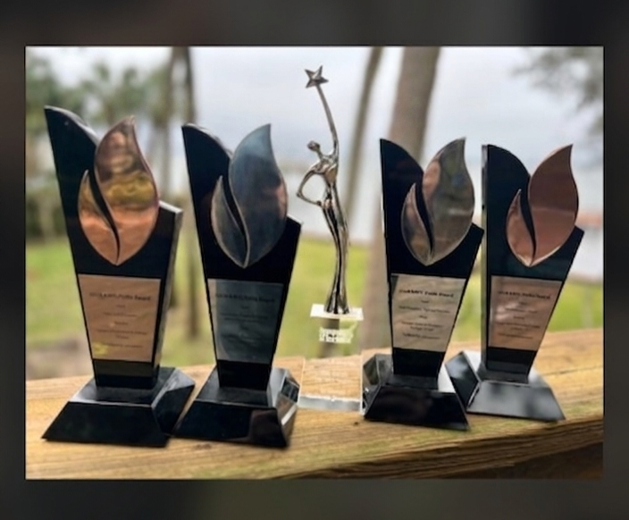 Trailblazing Political Strategies. Five Pollie awards and one trophy displayed outdoors on a wooden surface, with trees and a body of water in the background.