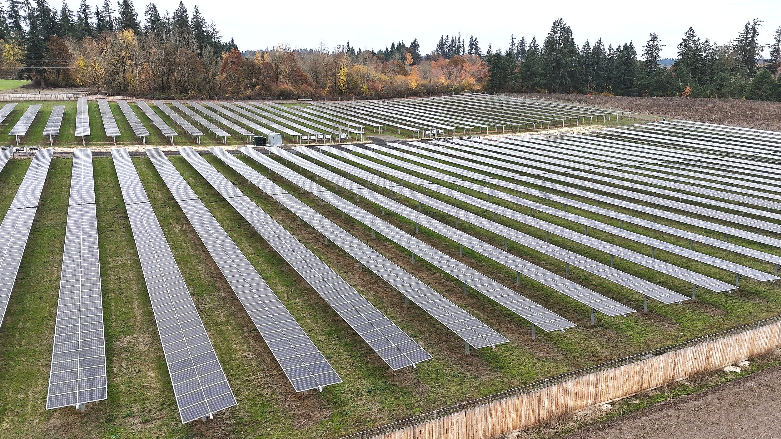 An aerial view of a large solar panel farm with numerous rows of solar panels on grassy terrain, bordered by a wooden fence, with a background of trees and a cloudy sky.