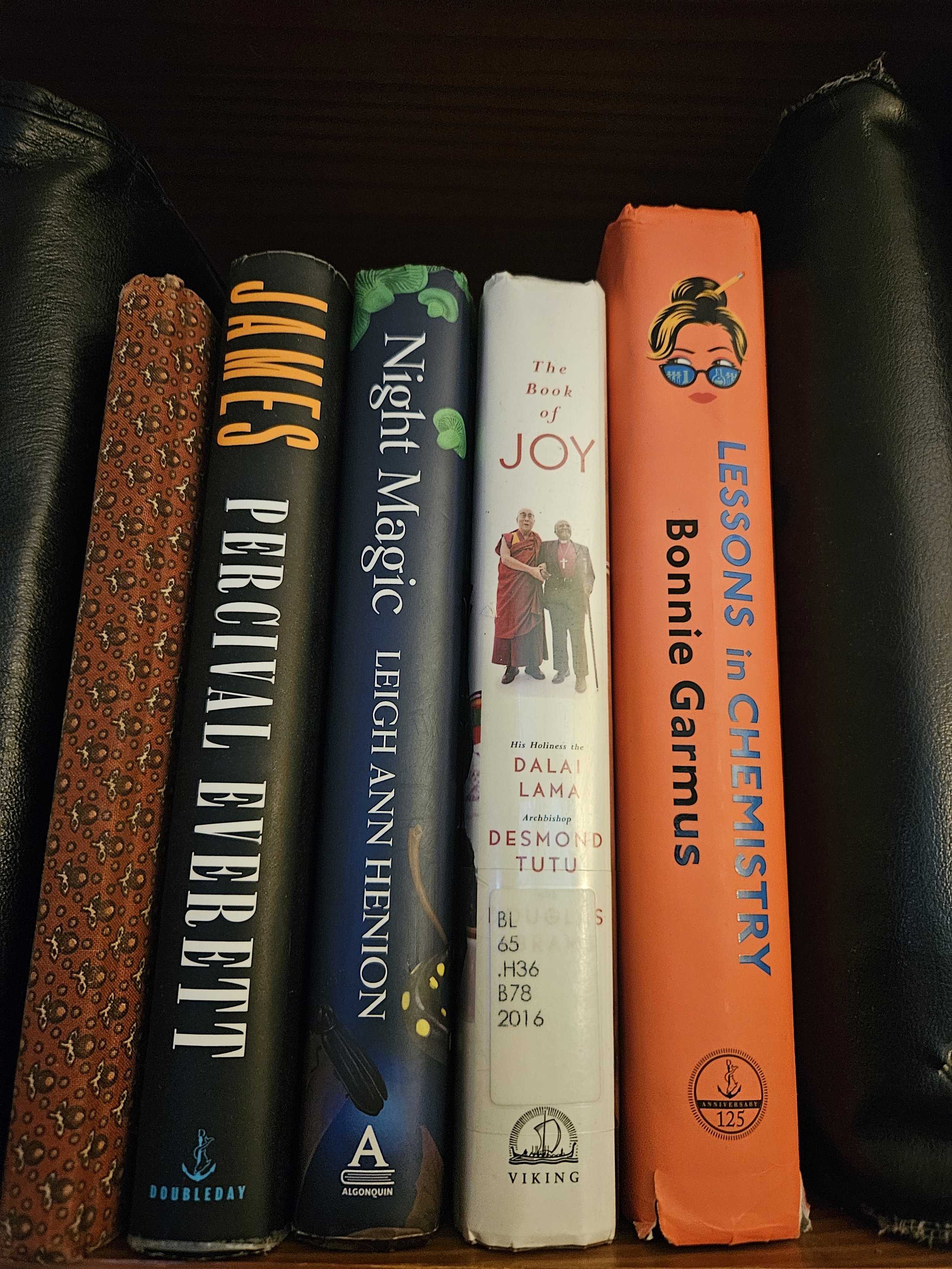 A row of seven books standing upright on a shelf, featuring various titles and colors, with a black leather armrest or chair visible on each side.