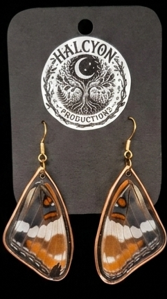 Butterfly Wing Earings