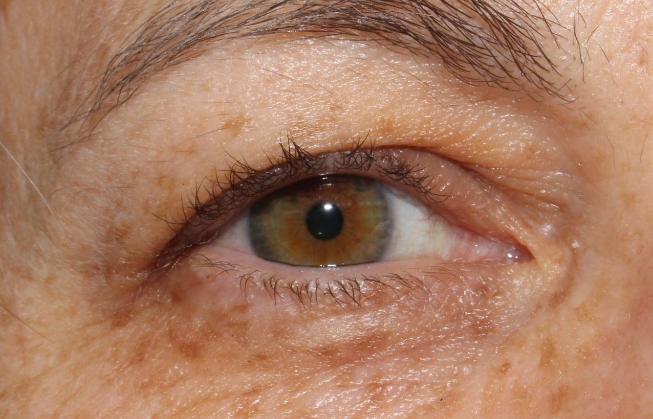 IMG_1086.png