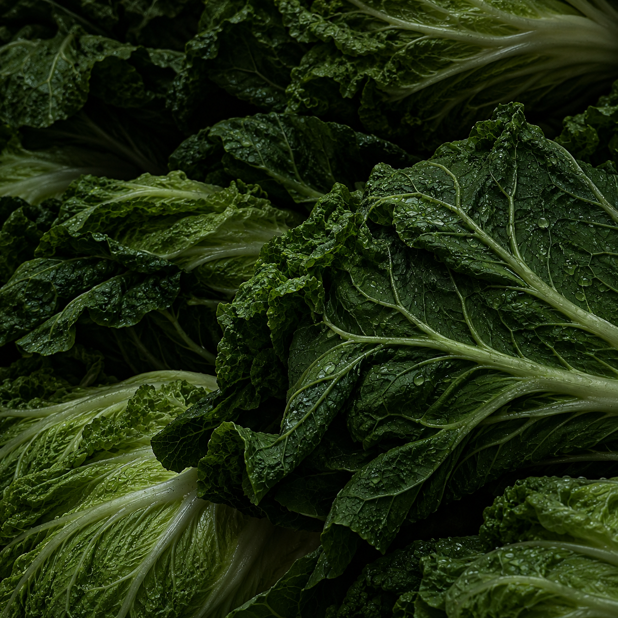 Commercial Agriculture
