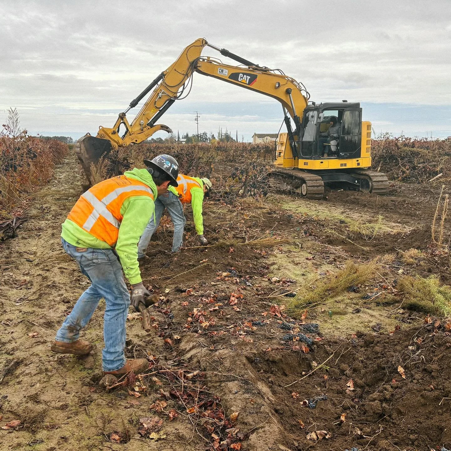 This is what dreams are made of 🤩 At least the beginnings of a dream home for our customer and long time family friend.

First step is vineyard removal. We can&rsquo;t wait to see this site come together! 

#constructionsite #brushclearing #lotclear