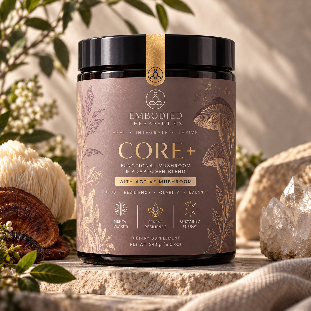CORE +