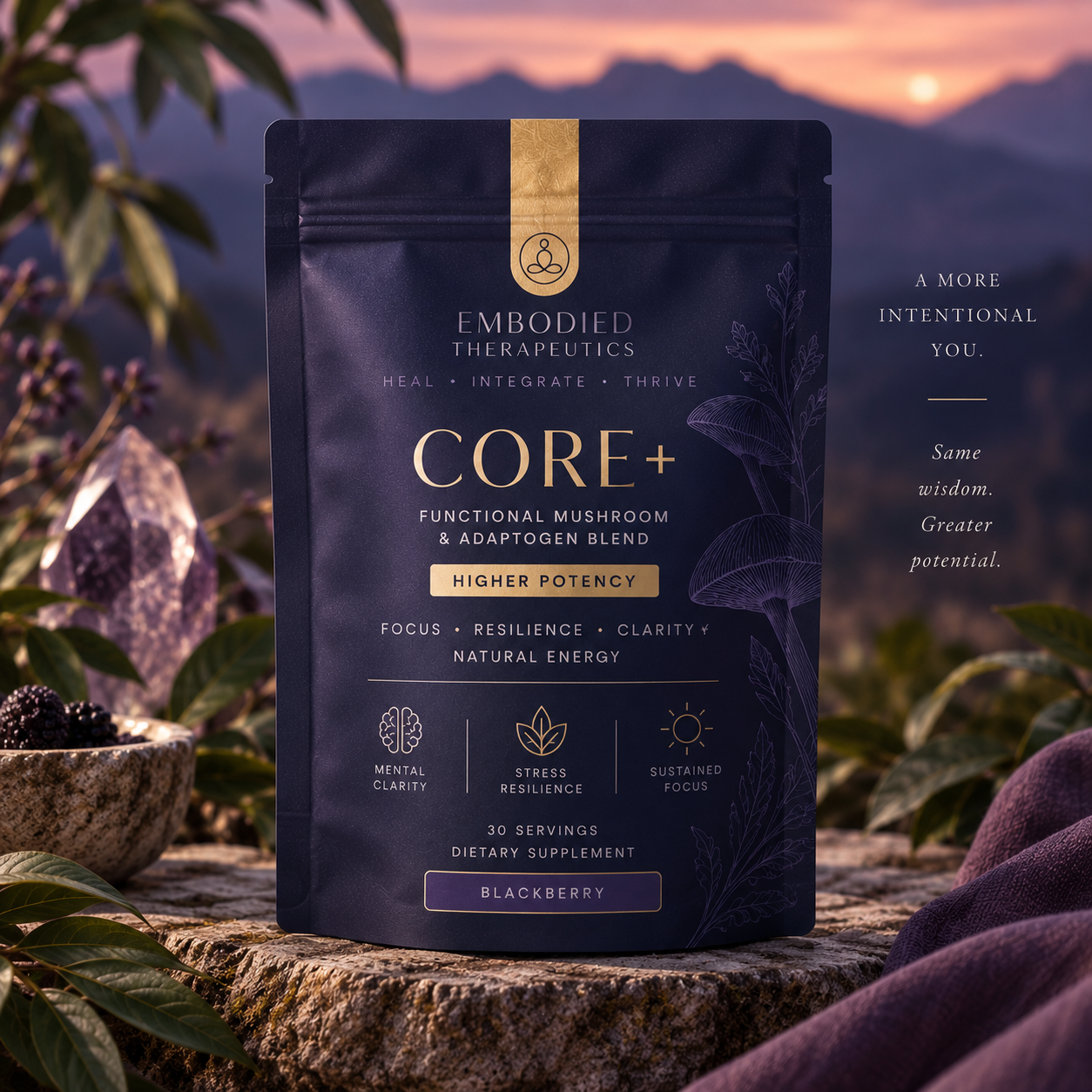 CORE+.png