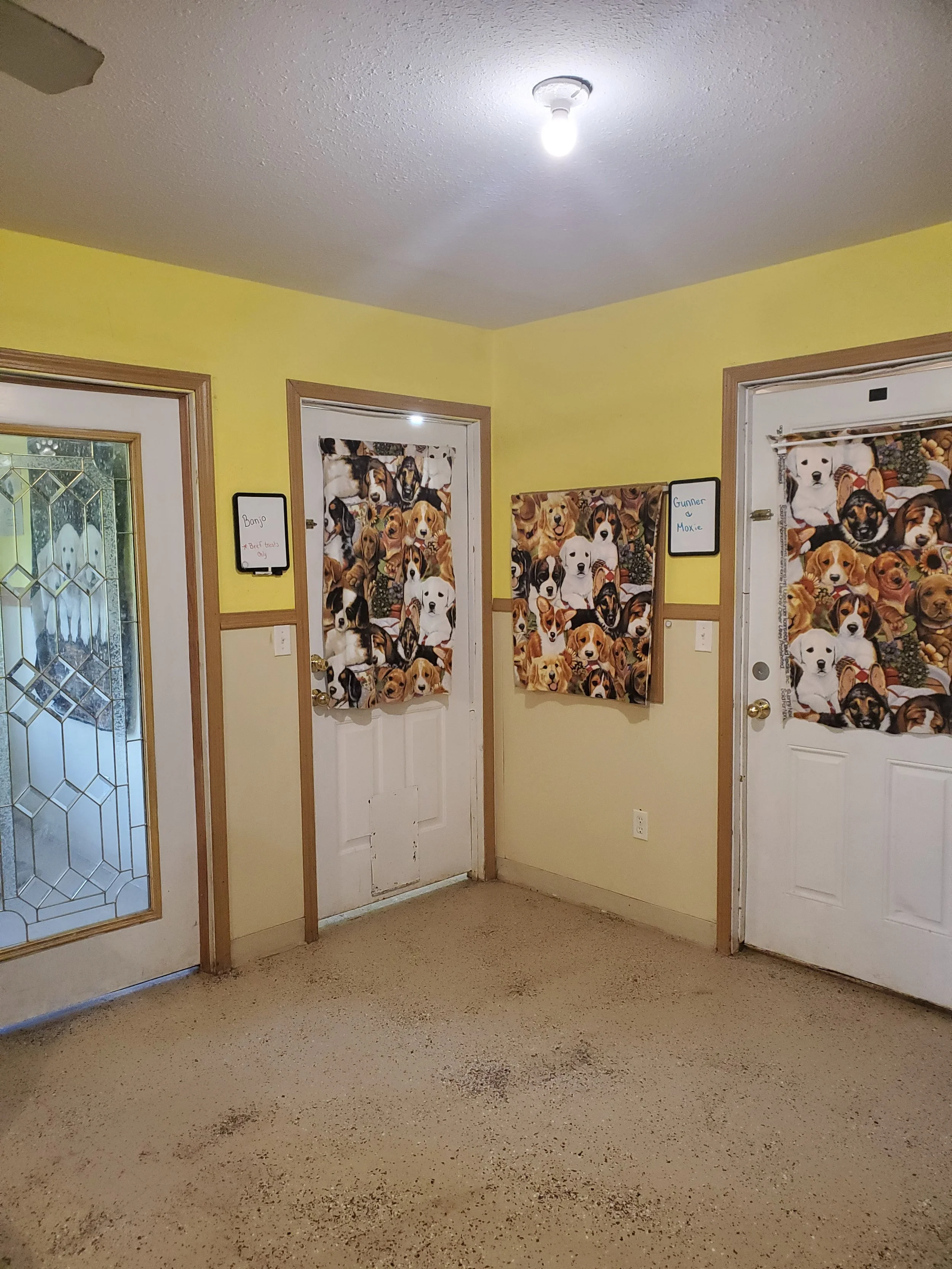 Interior view of a yellow-walled room with three doors decorated with dog-themed curtains. There are signs next to two of the doors with labels 'Banjo' and 'Gunner & Moxie'. The floor appears to be a speckled beige carpet, and there is a ceiling light bulb turned on.
