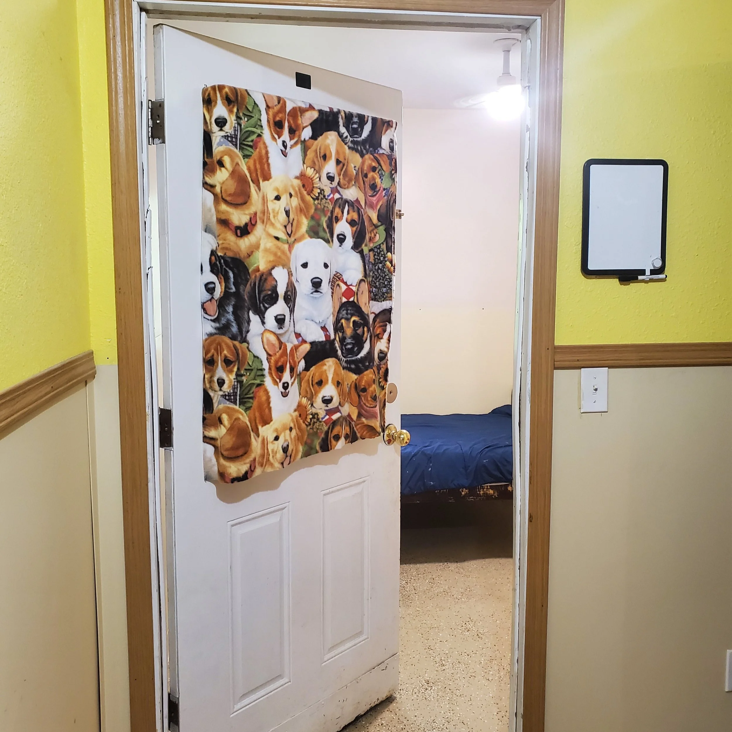 Come check out our nice clean rooms! All Dogs Haven is open for bookings! 

#dogboarding #alldogshaven #welovedogs