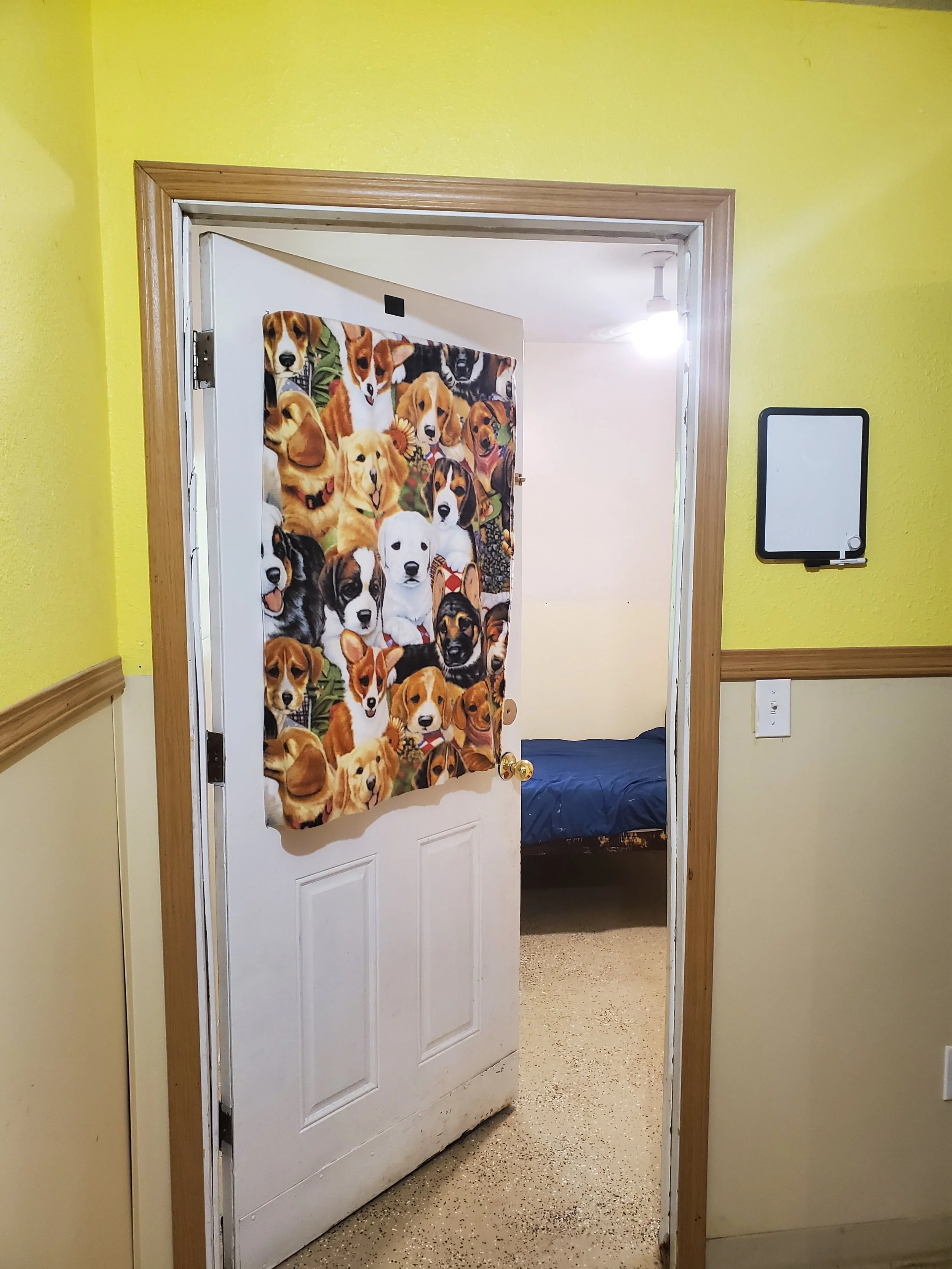 A doorway with a puppy-themed curtain, leading into a room with a bed and a ceiling fan.