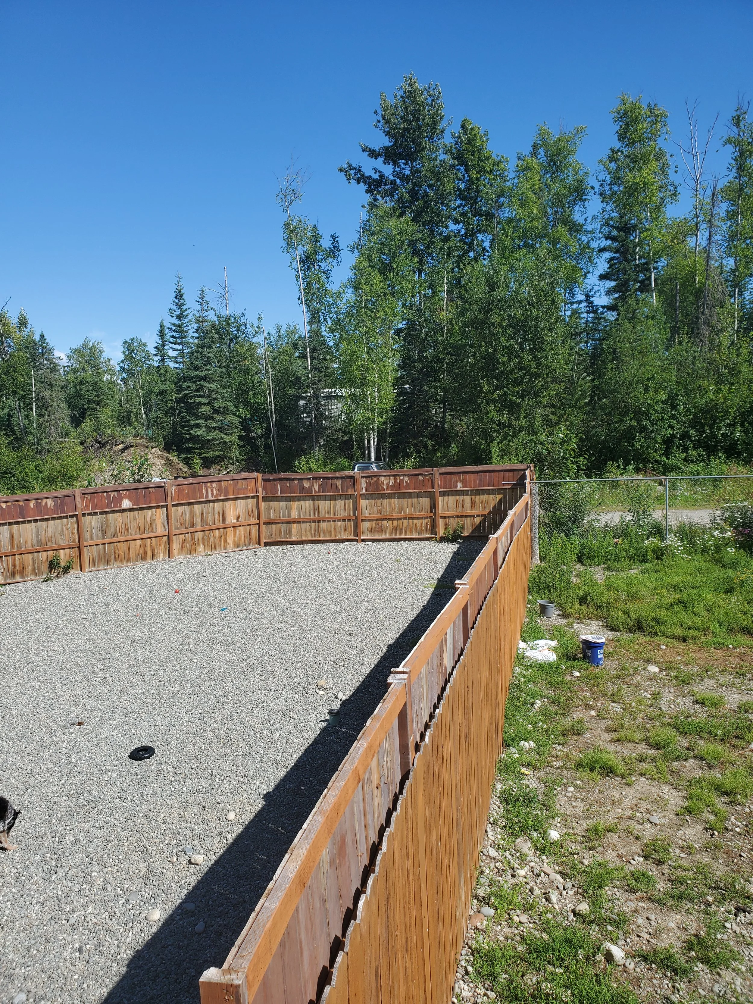 A wooden fence borders a gravel area, with tall green trees, some evergreen, behind it and a clear blue sky above.