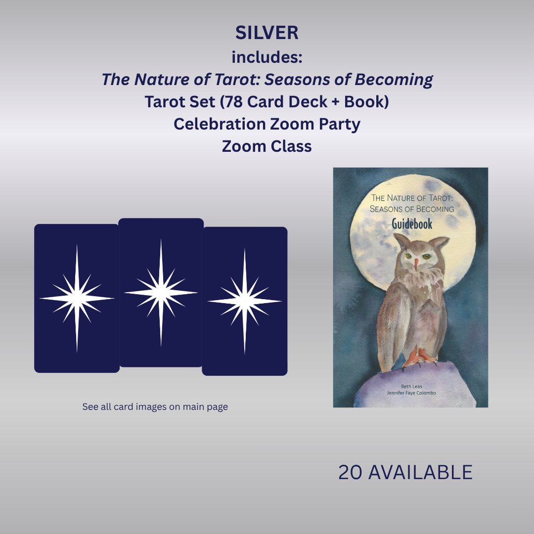 Silver Tarot Kit