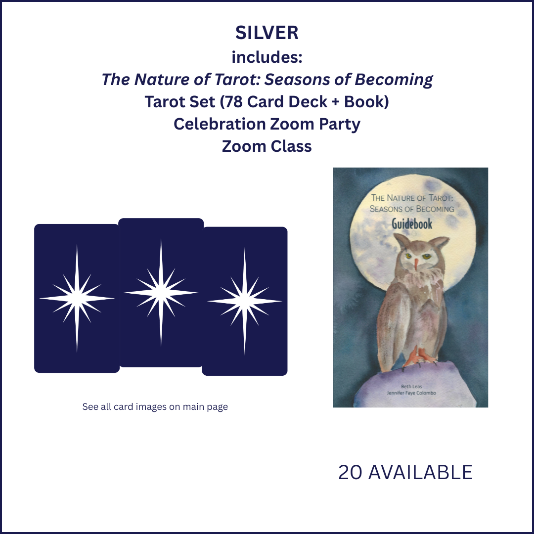 Silver Tarot Kit