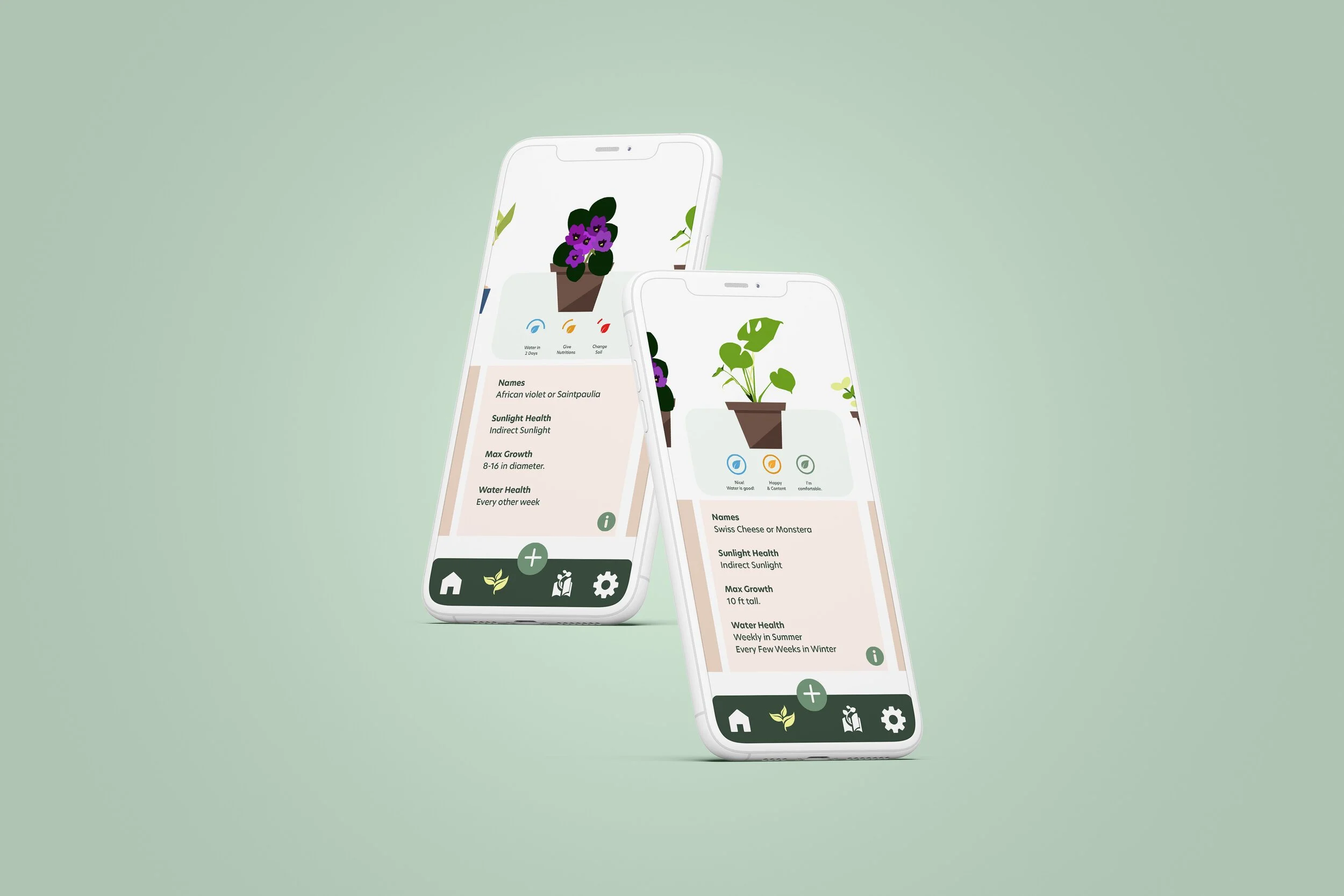 63d0256ca7939251bed6d182_62536e7f0e9b0c4751b3929f_plants.jpeg