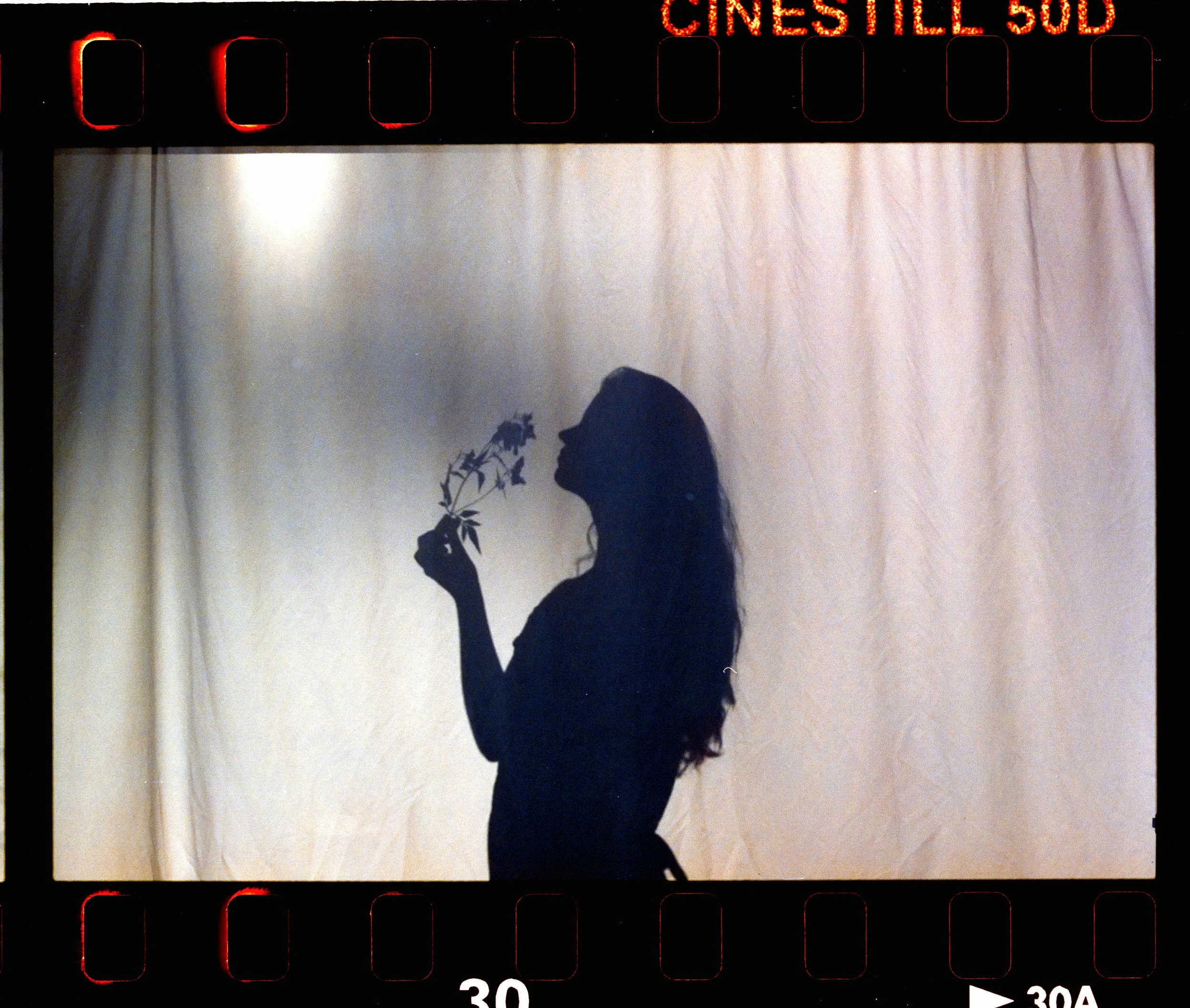 Silhouette of a woman holding a branch with flowers, seen against a light-colored curtain, with red neon signs reading 'CINESTEL SOD' at the top.