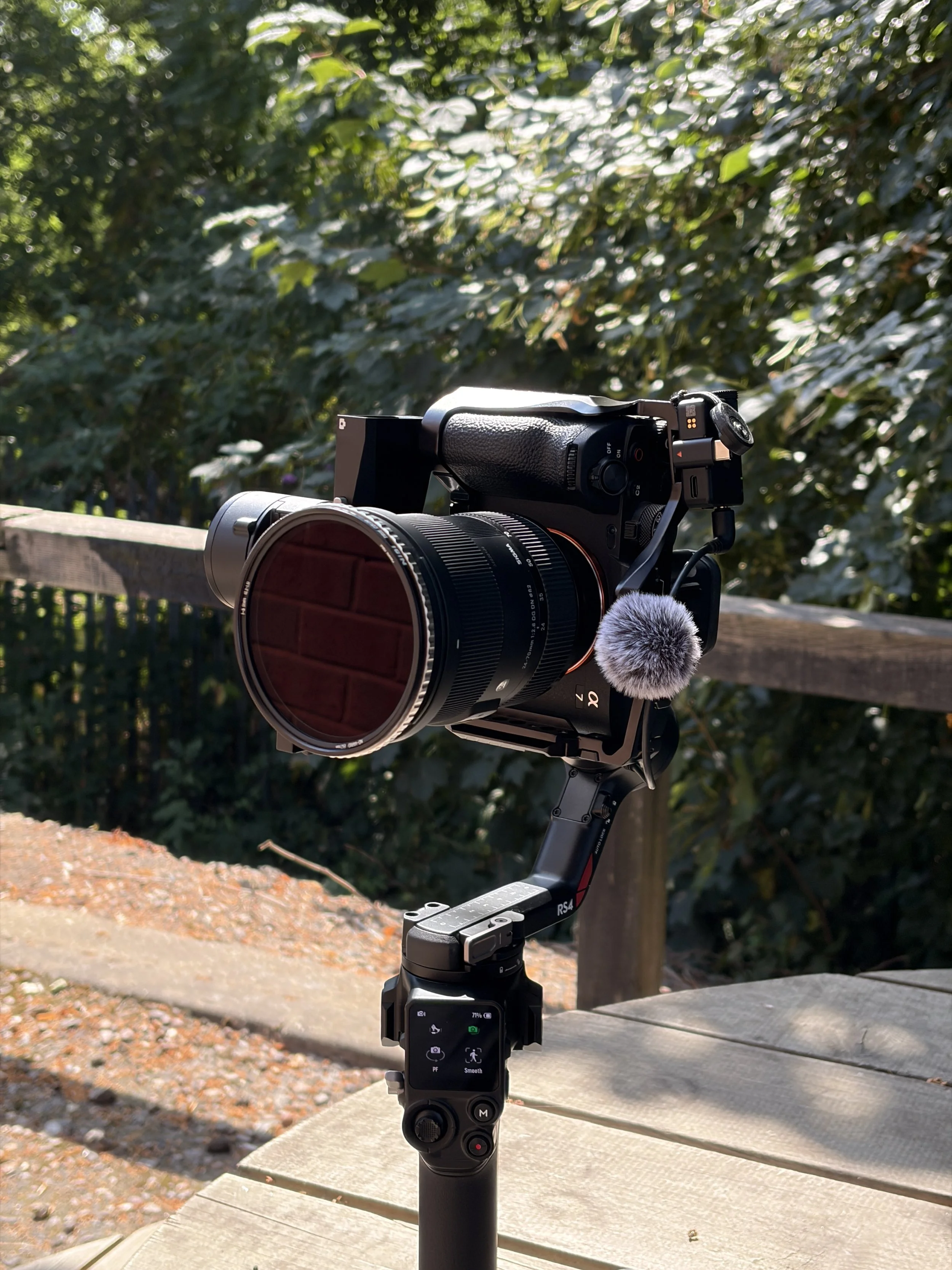 A professional camera mounted on a gimbal stabilizer capturing an outdoor scene with greenery and a wooden bench, with a smartphone attached to the gimbal's control panel.