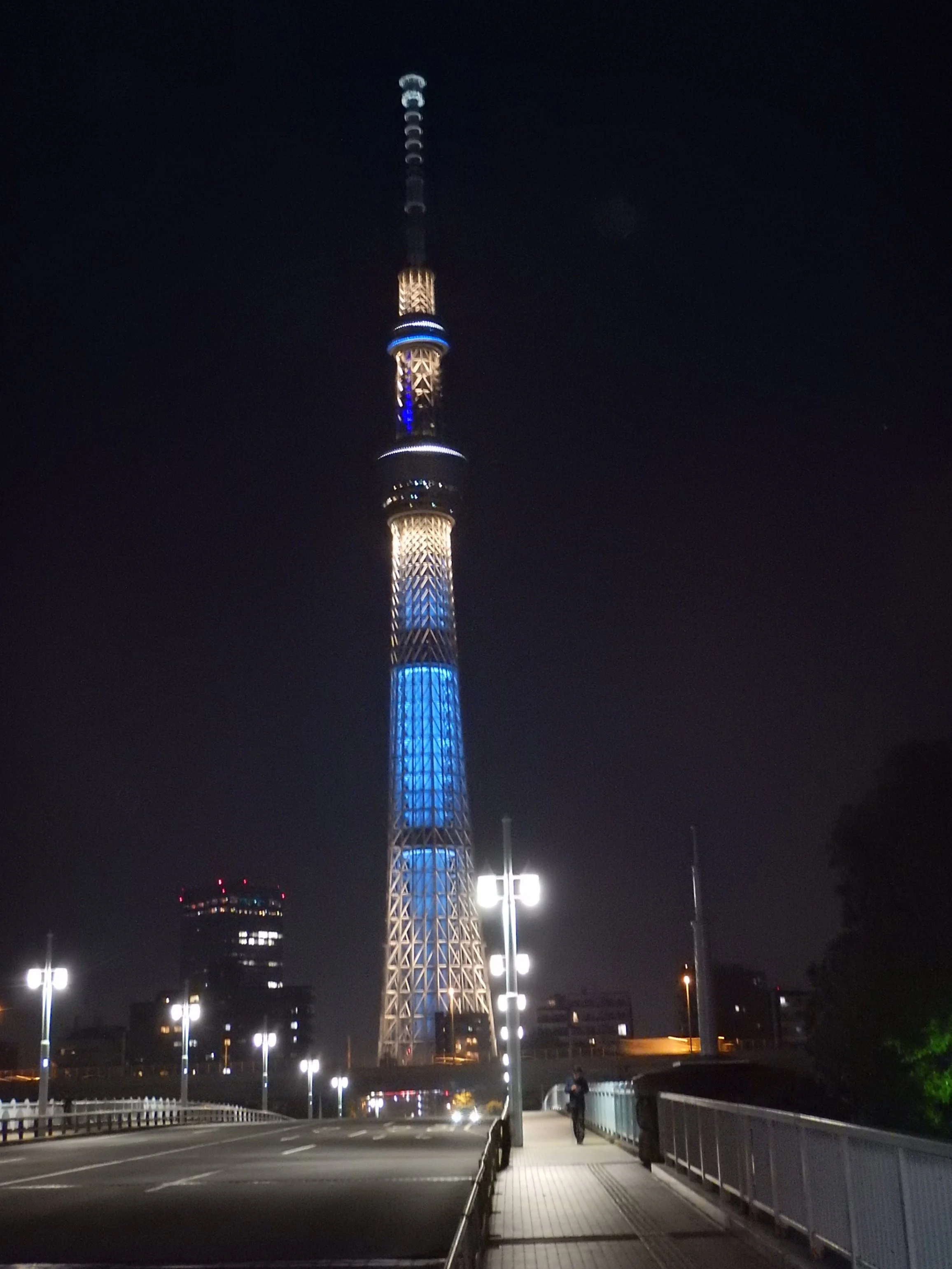 Japan in 33 Days