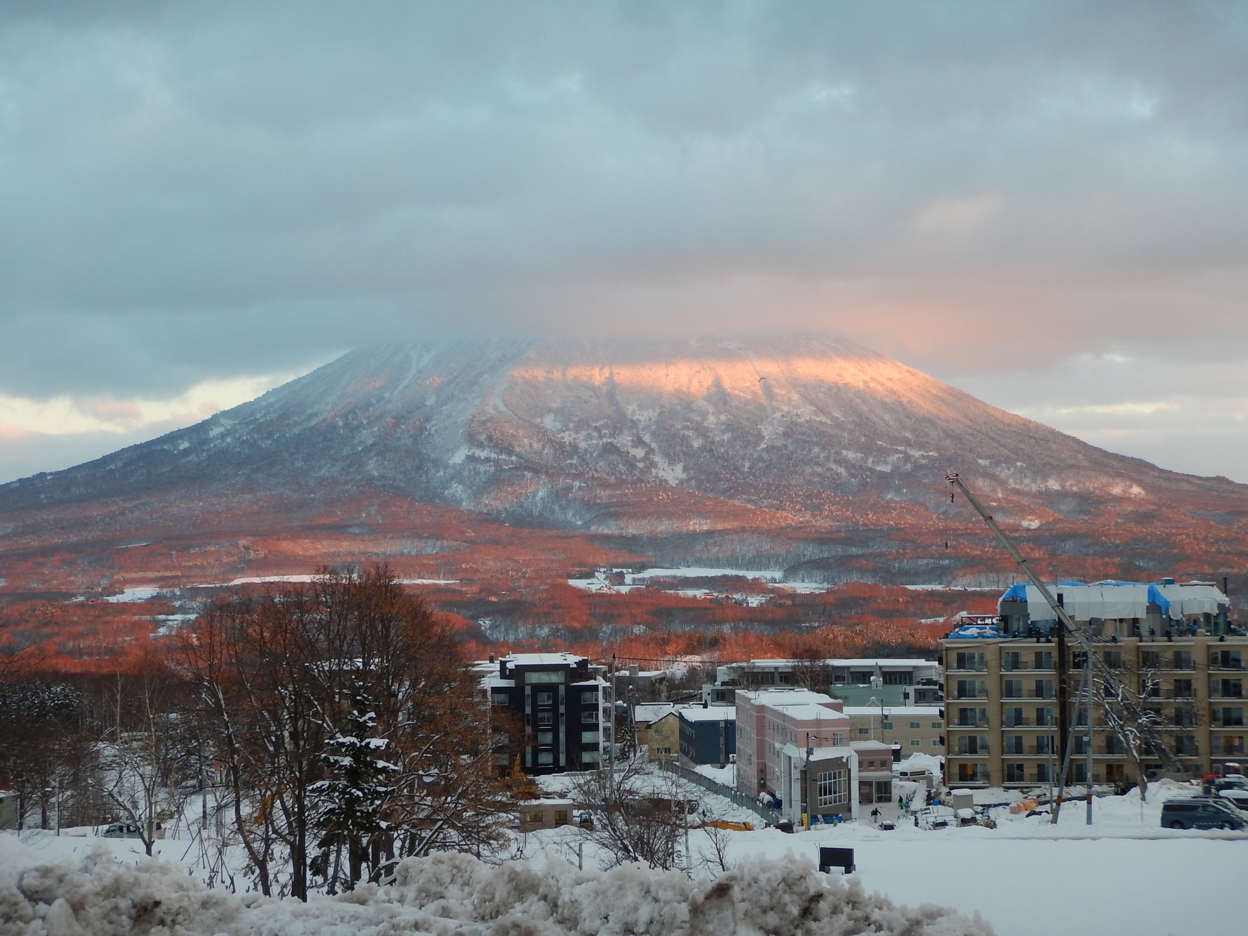Japow - week 1