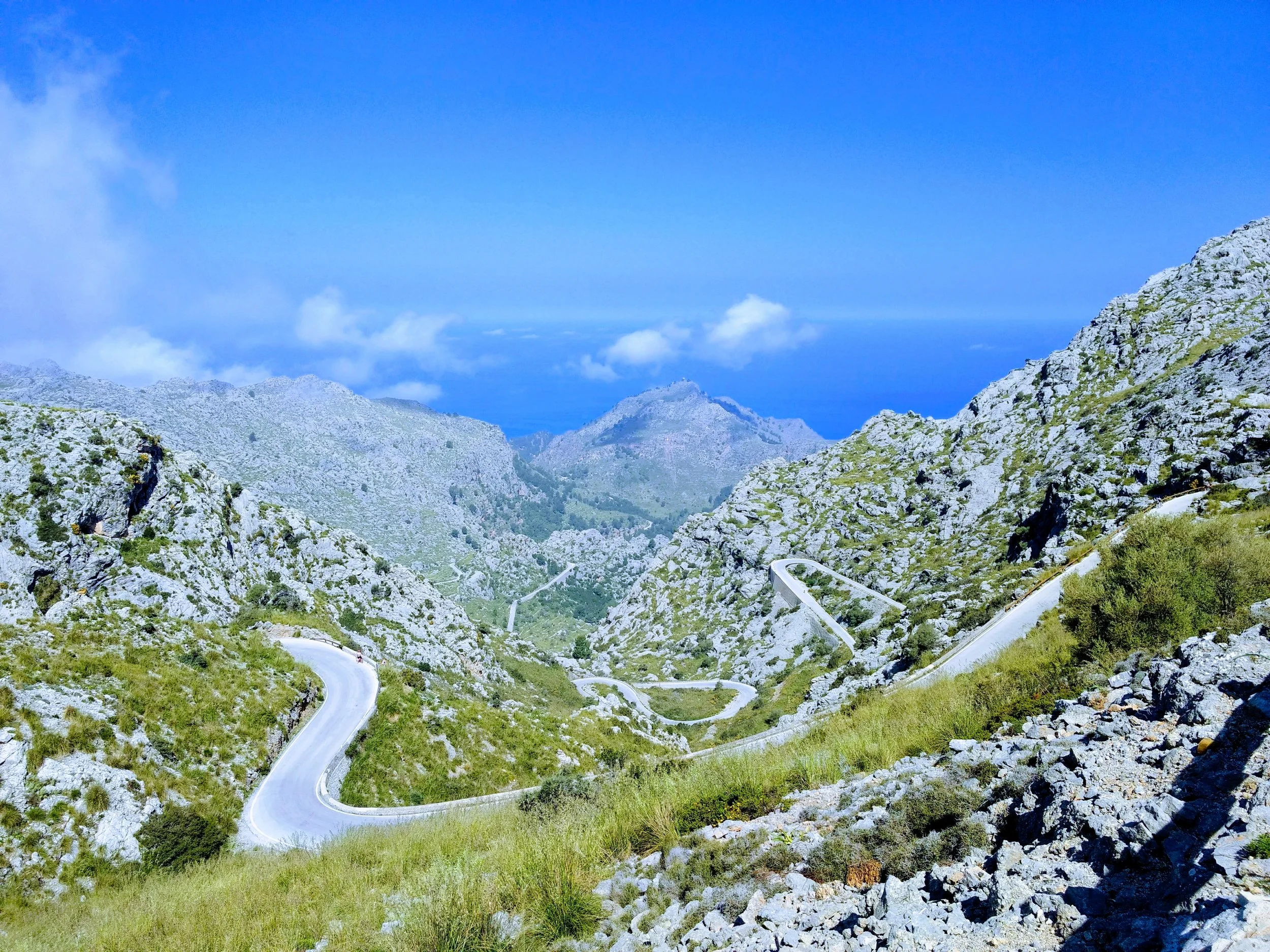 Buzzing about Mallorca
