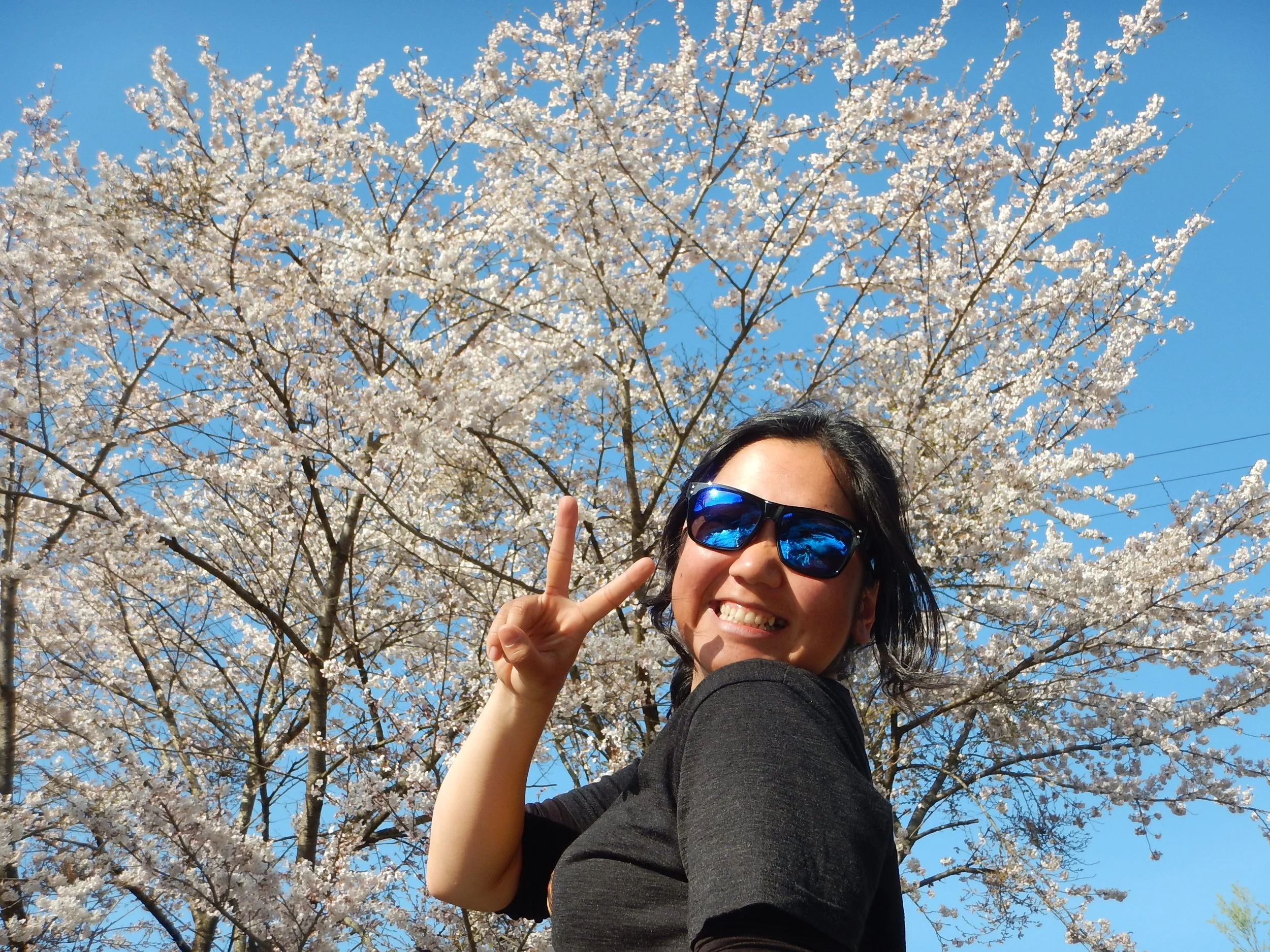 dscn5325.jpg