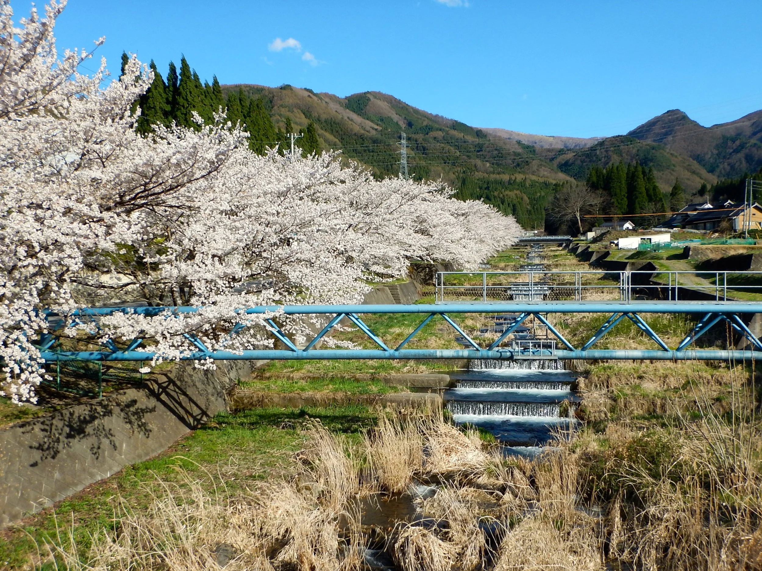 dscn5330.jpg