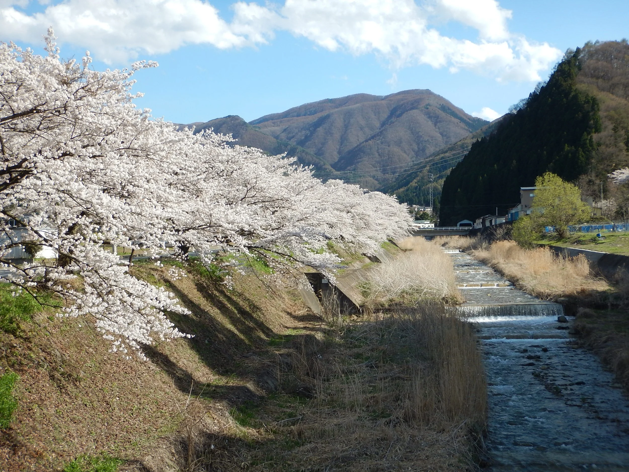 dscn5309.jpg