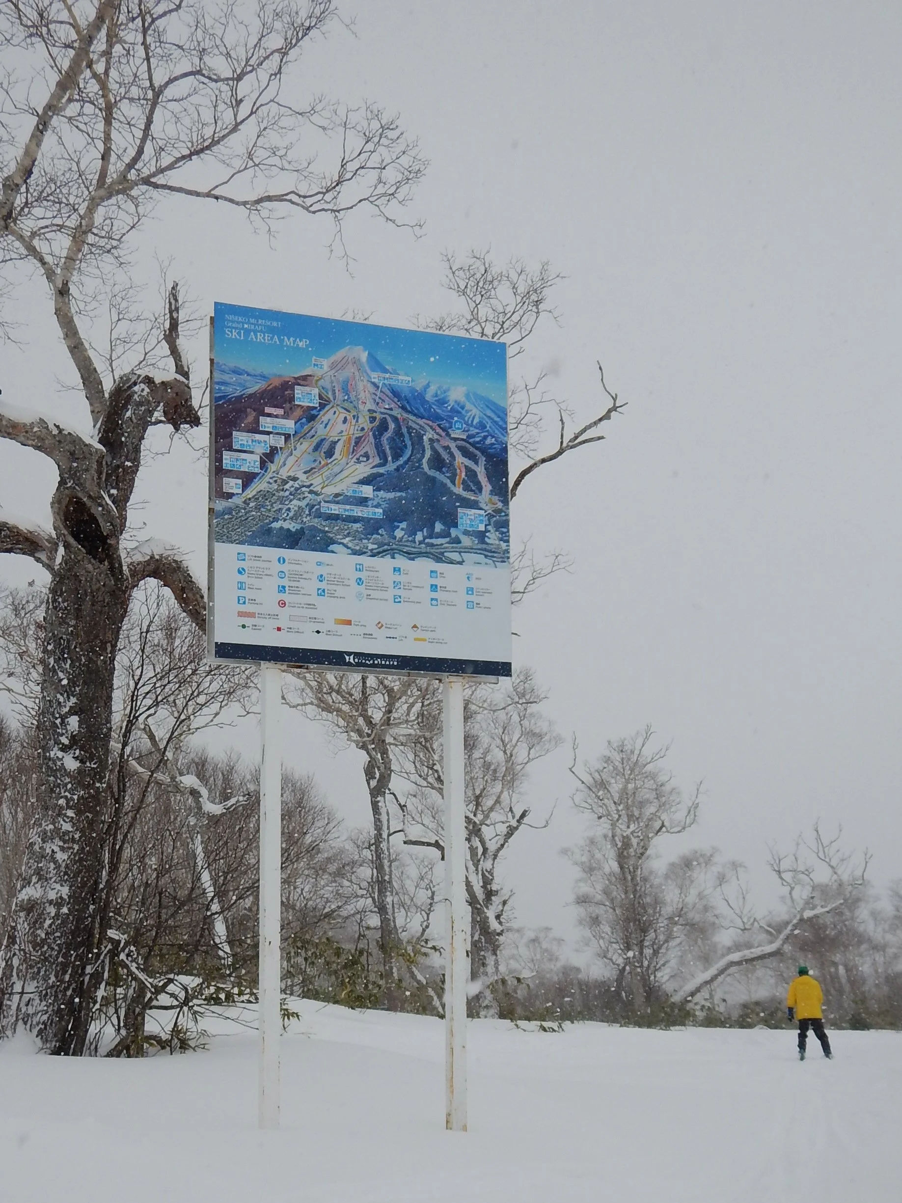 dscn41101.jpg
