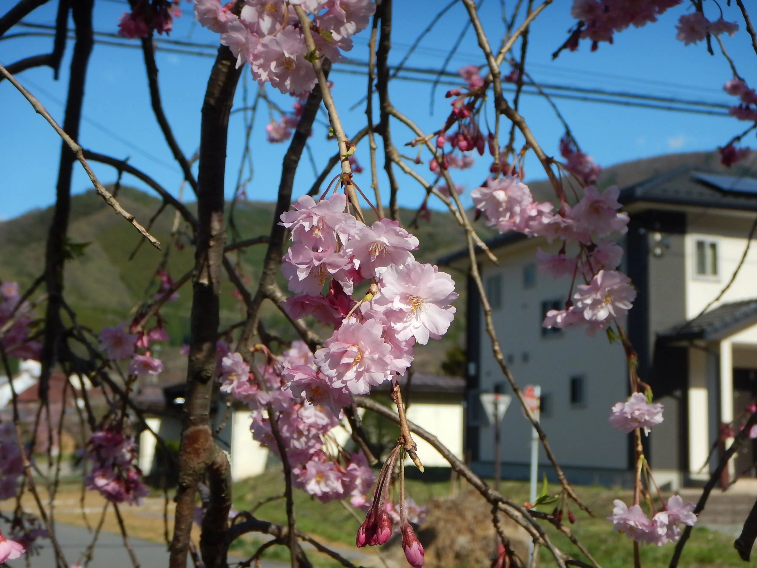 dscn5304.jpg