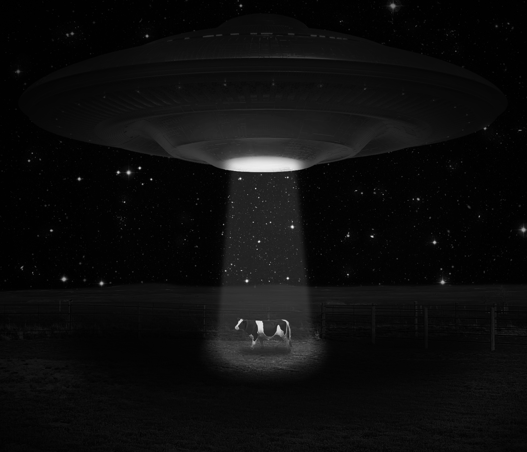 A black and white image of a cow standing in a fenced area, illuminated by a spotlight in the center of the scene. Above, there is a large UFO-shaped spaceship emitting a bright light downwards, surrounded by stars in space.
