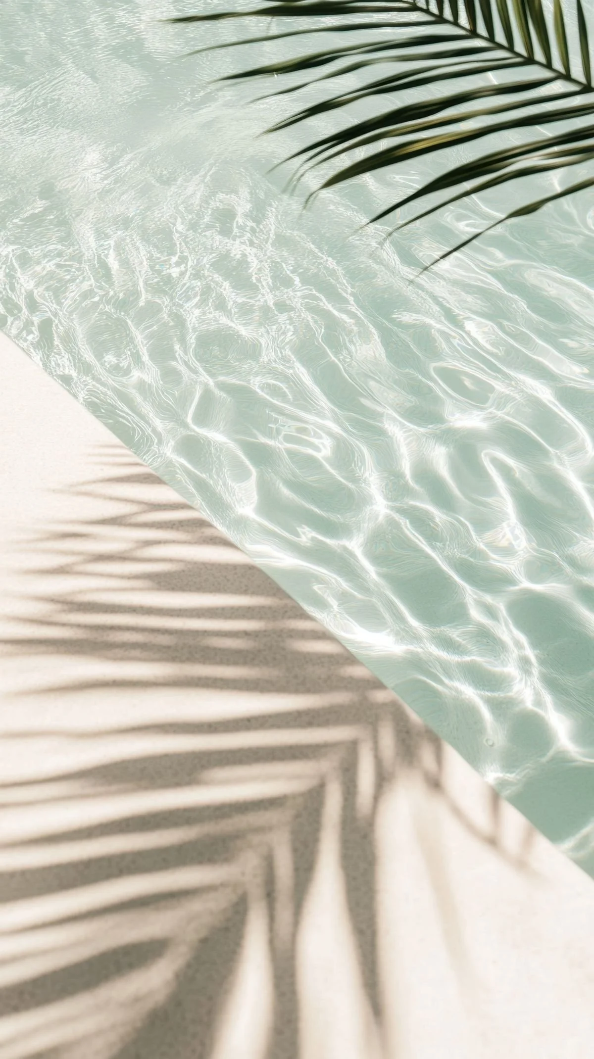 Beach scene with clear water, sand, and palm leaves casting shadows.