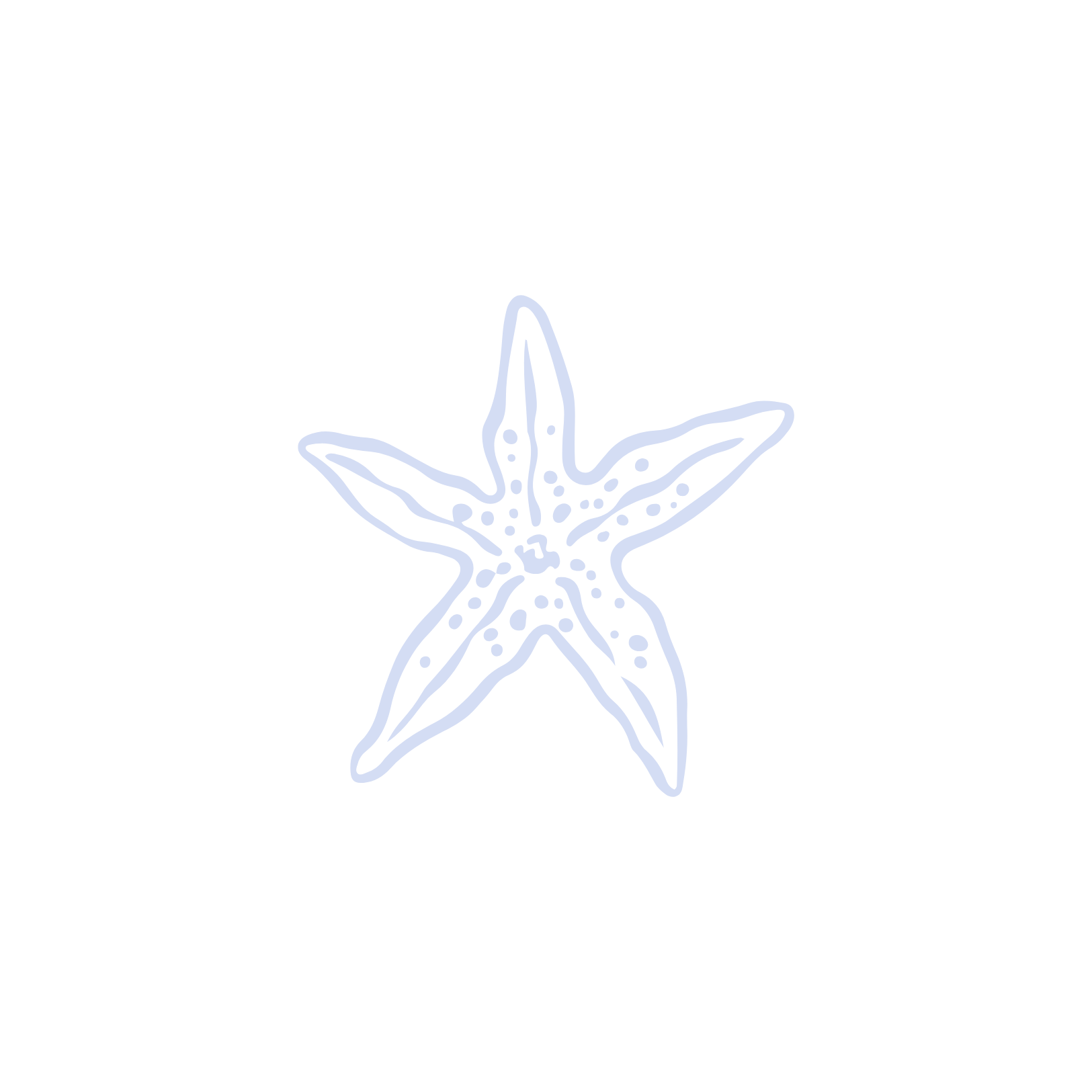 A neon outline of a starfish against a black background.