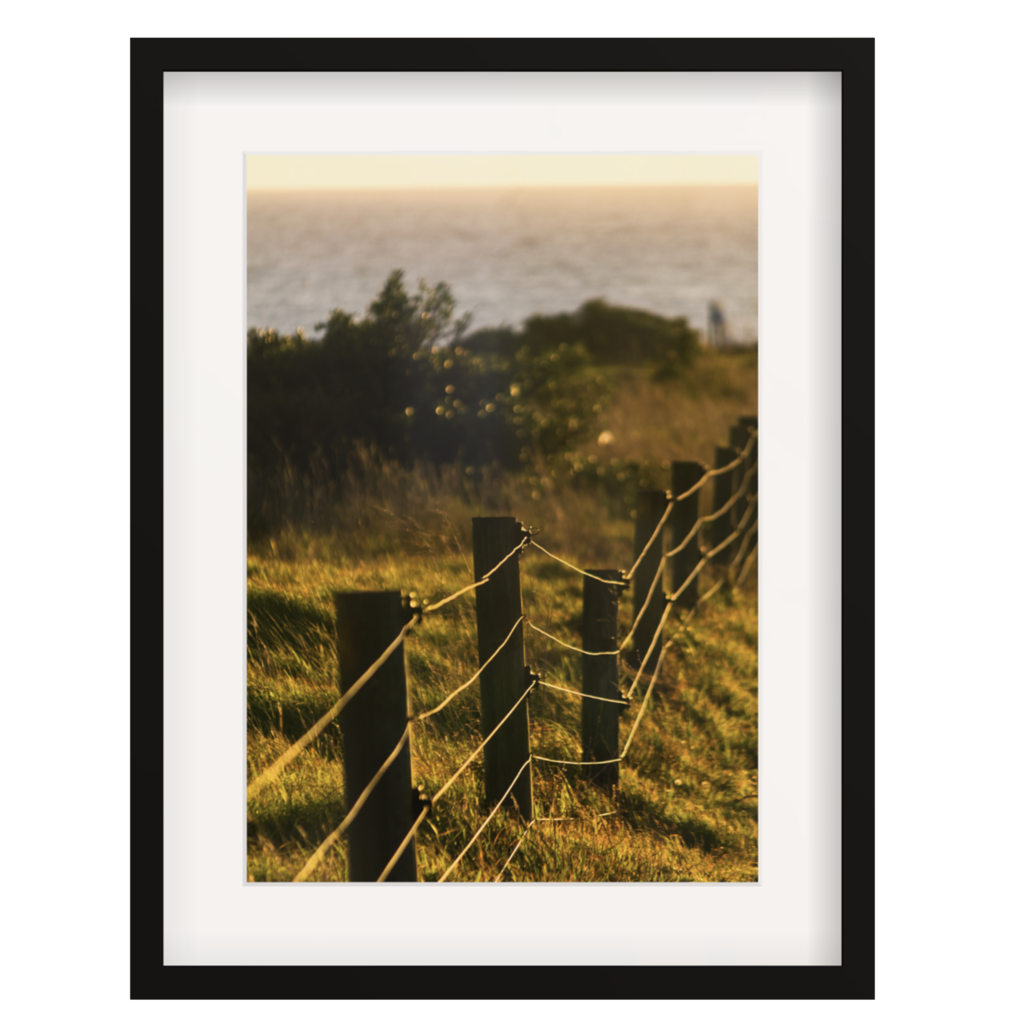 Coastal Light