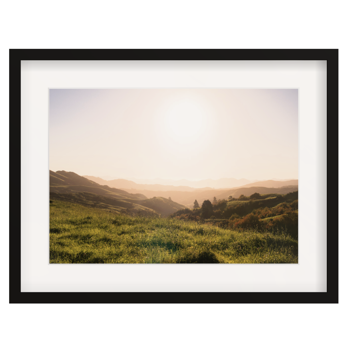 South Island Sun